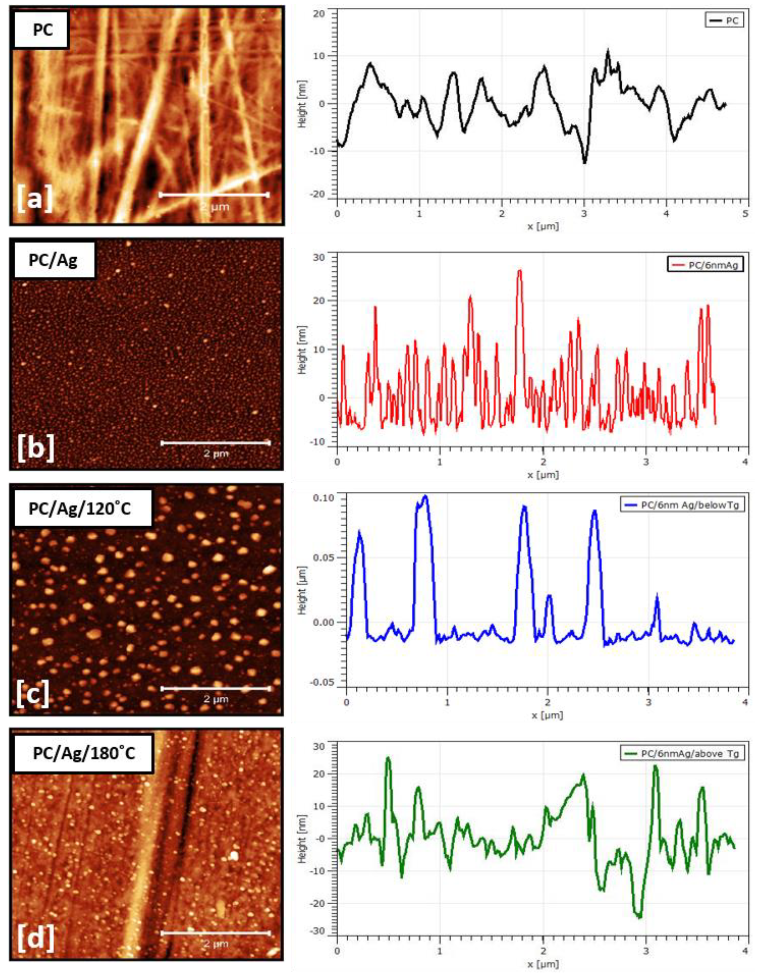 Antibiotics 12 00207 g004 Antibiotics 12 00207 g004