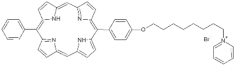 Antibiotics 12 00228 i008 Antibiotics 12 00228 i008