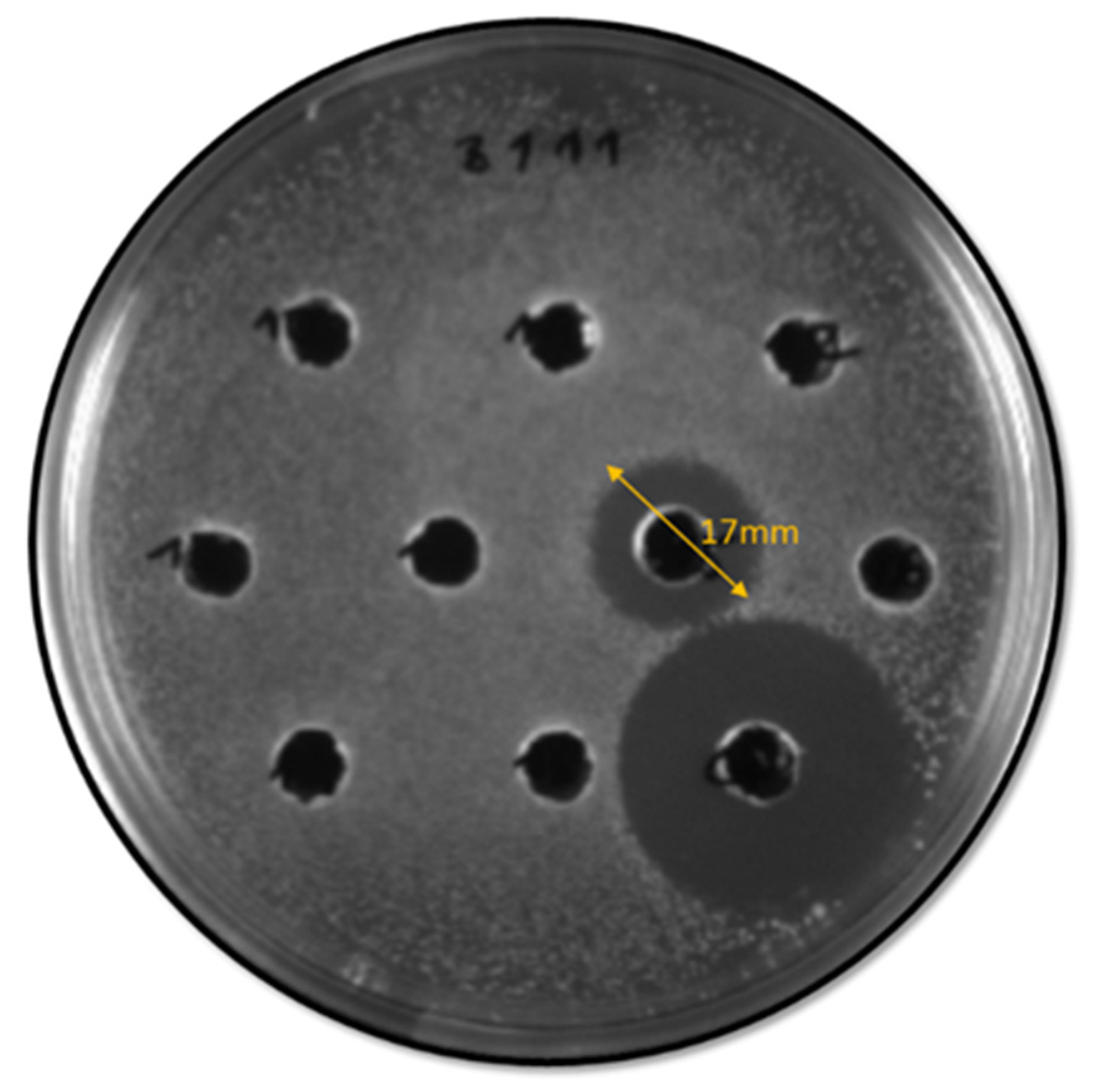 Antibiotics 12 00231 g002