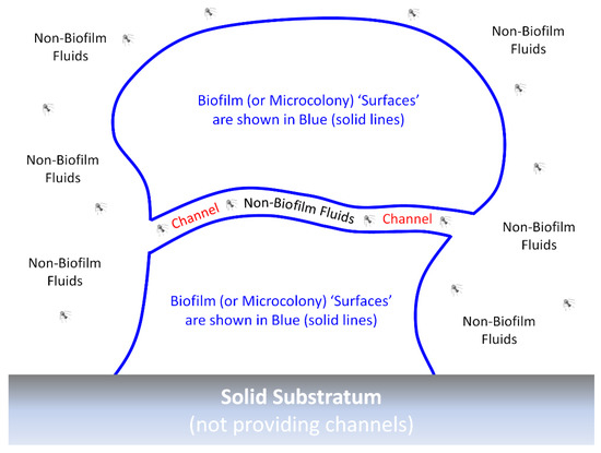Antibiotics 12 00245 g003
