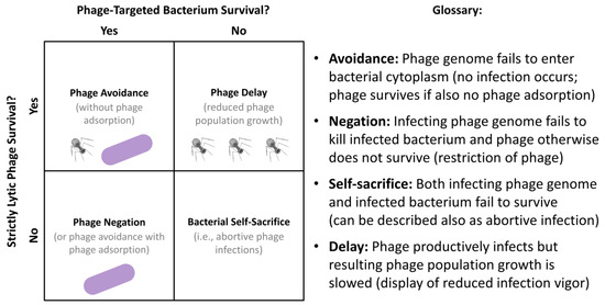 Antibiotics 12 00245 g006