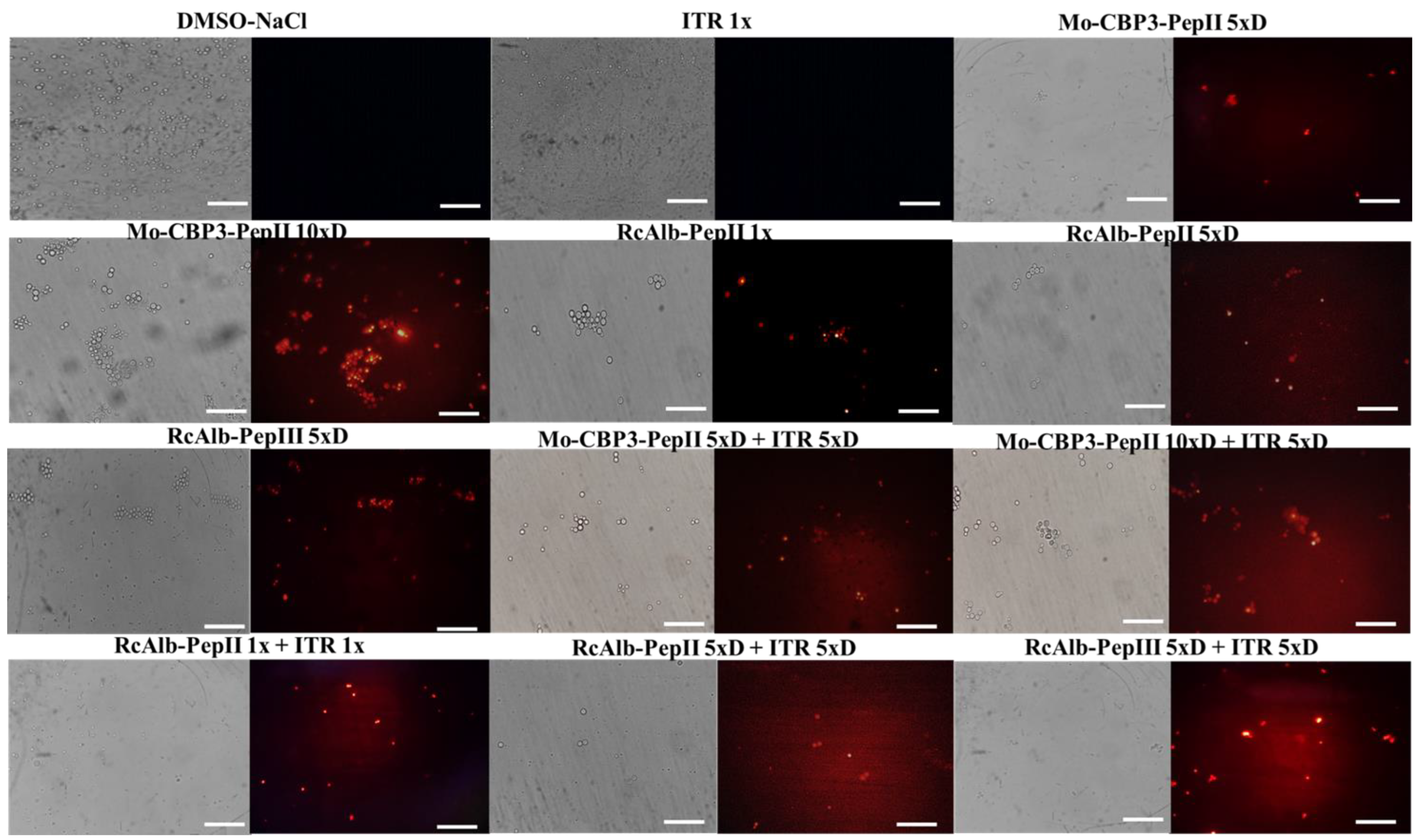 Antibiotics 12 00256 g001