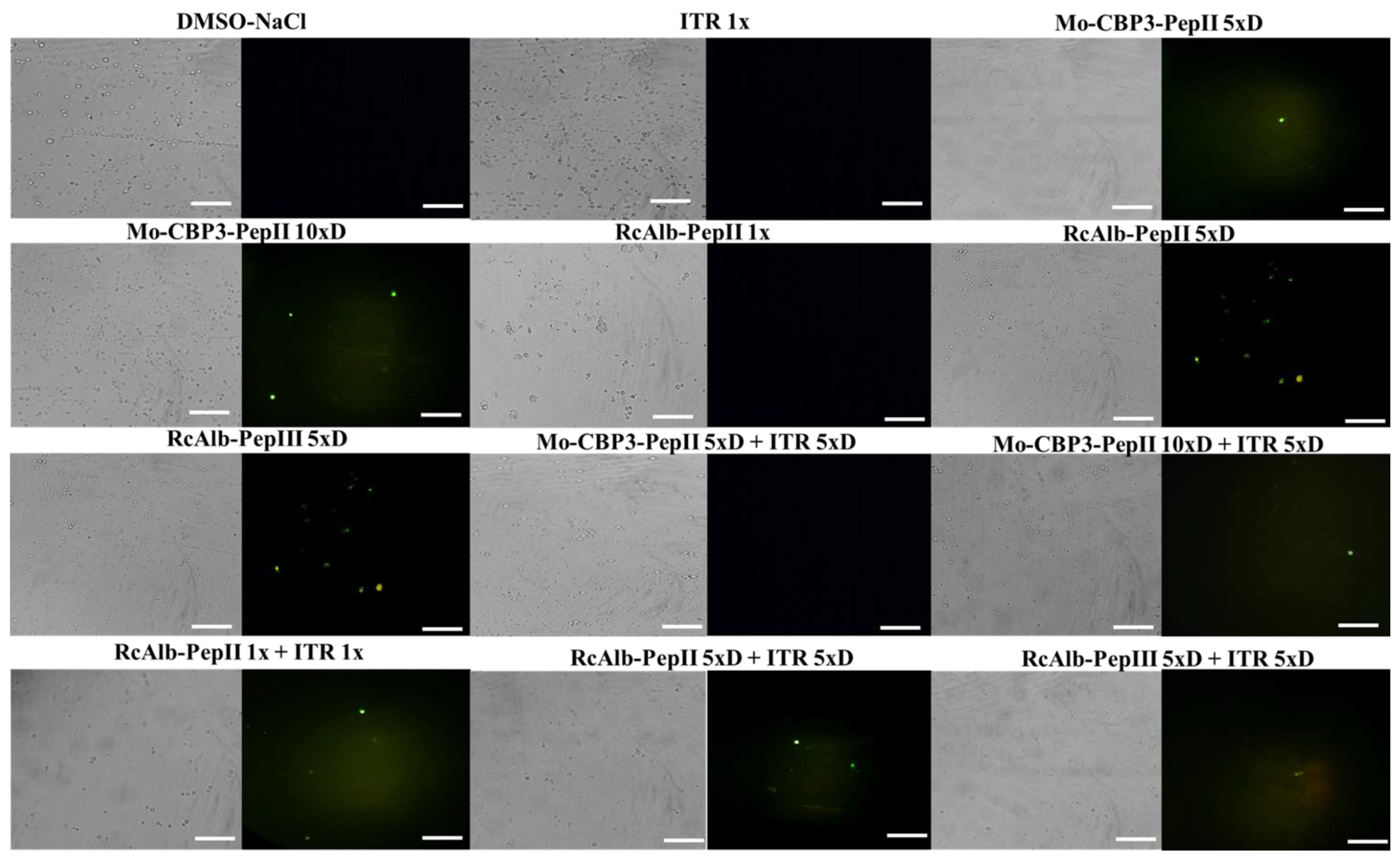 Antibiotics 12 00256 g002