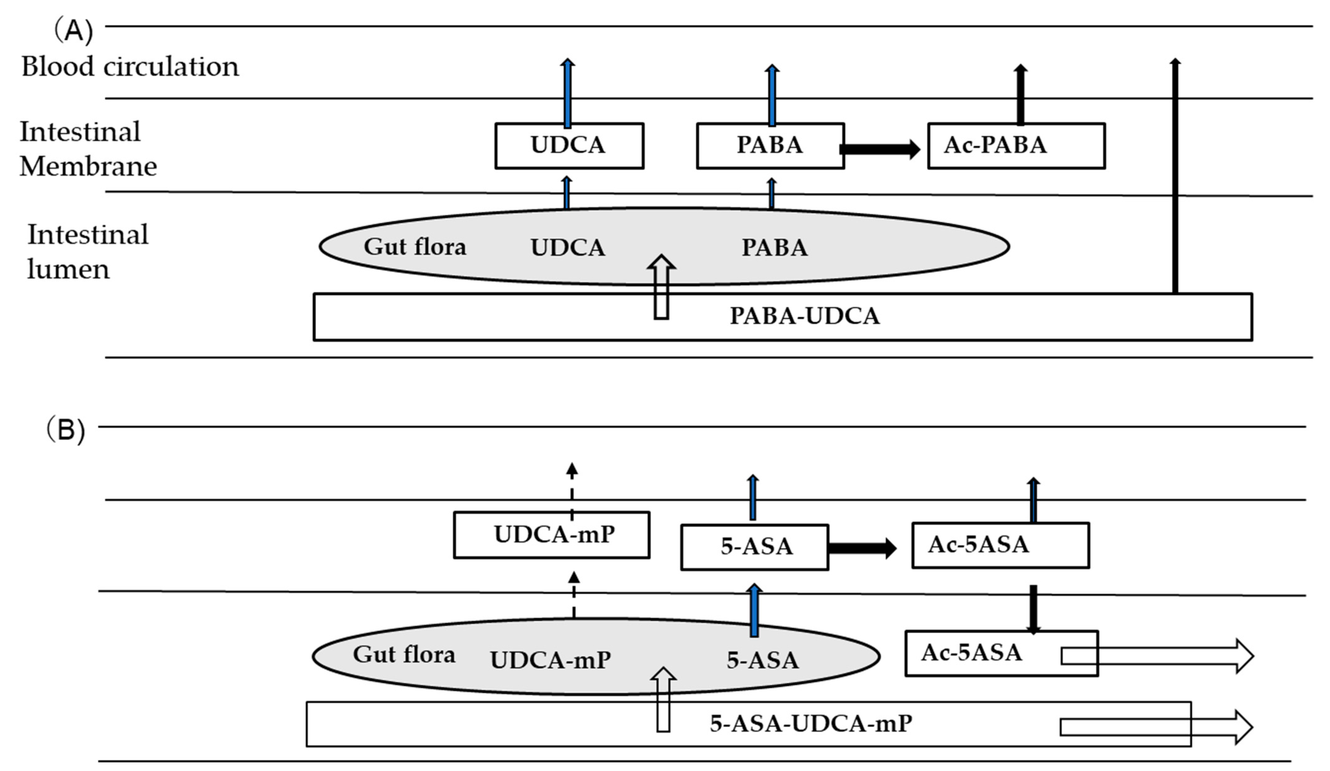 Antibiotics 12 00263 g002