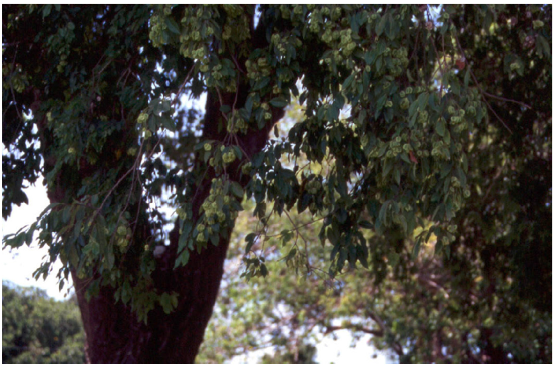 Antibiotics 12 00264 g003