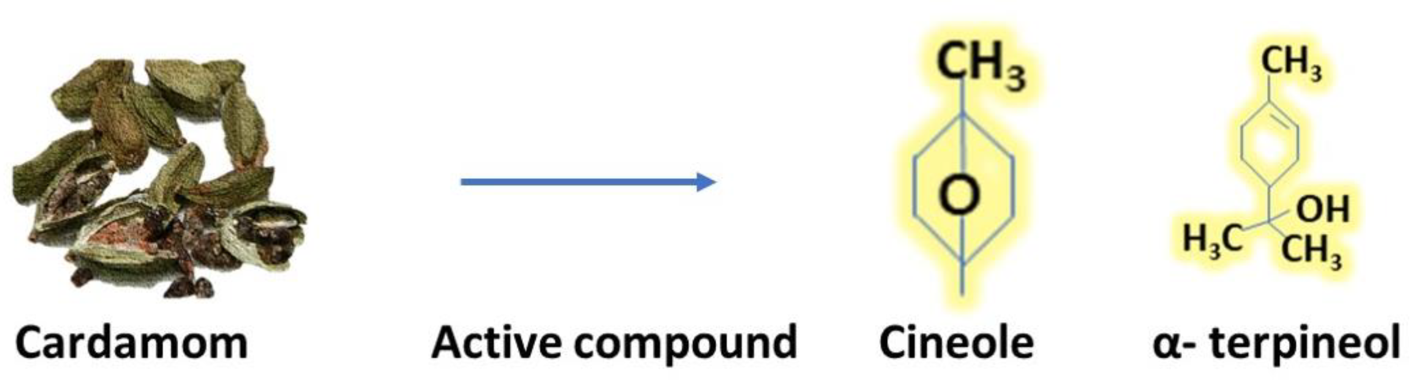 Antibiotics 12 00270 g003 Antibiotics 12 00270 g003