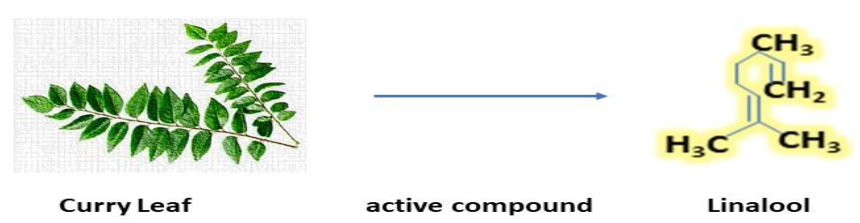 Antibiotics 12 00270 g005 Antibiotics 12 00270 g005