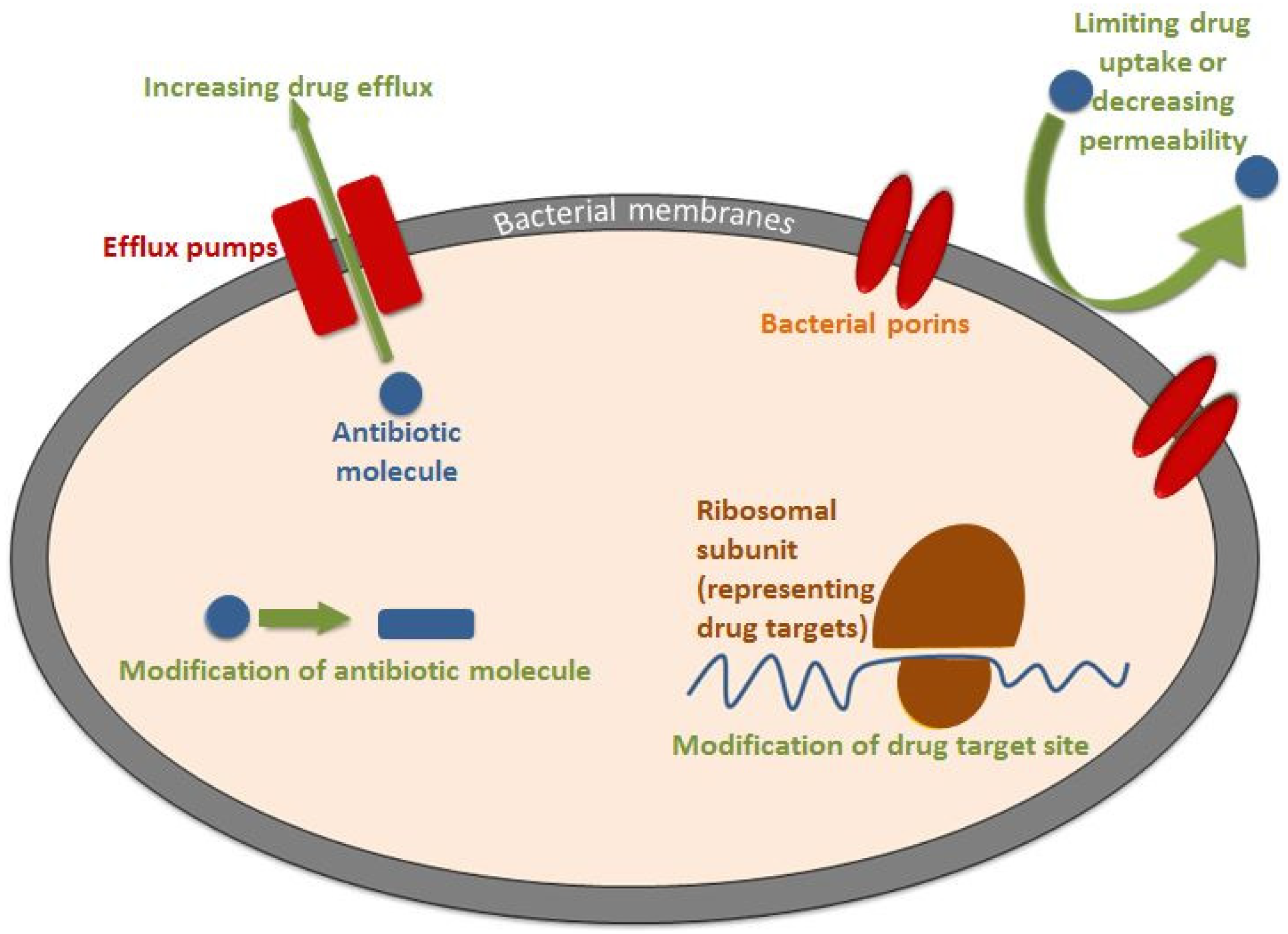 Antibiotics 12 00274 g002