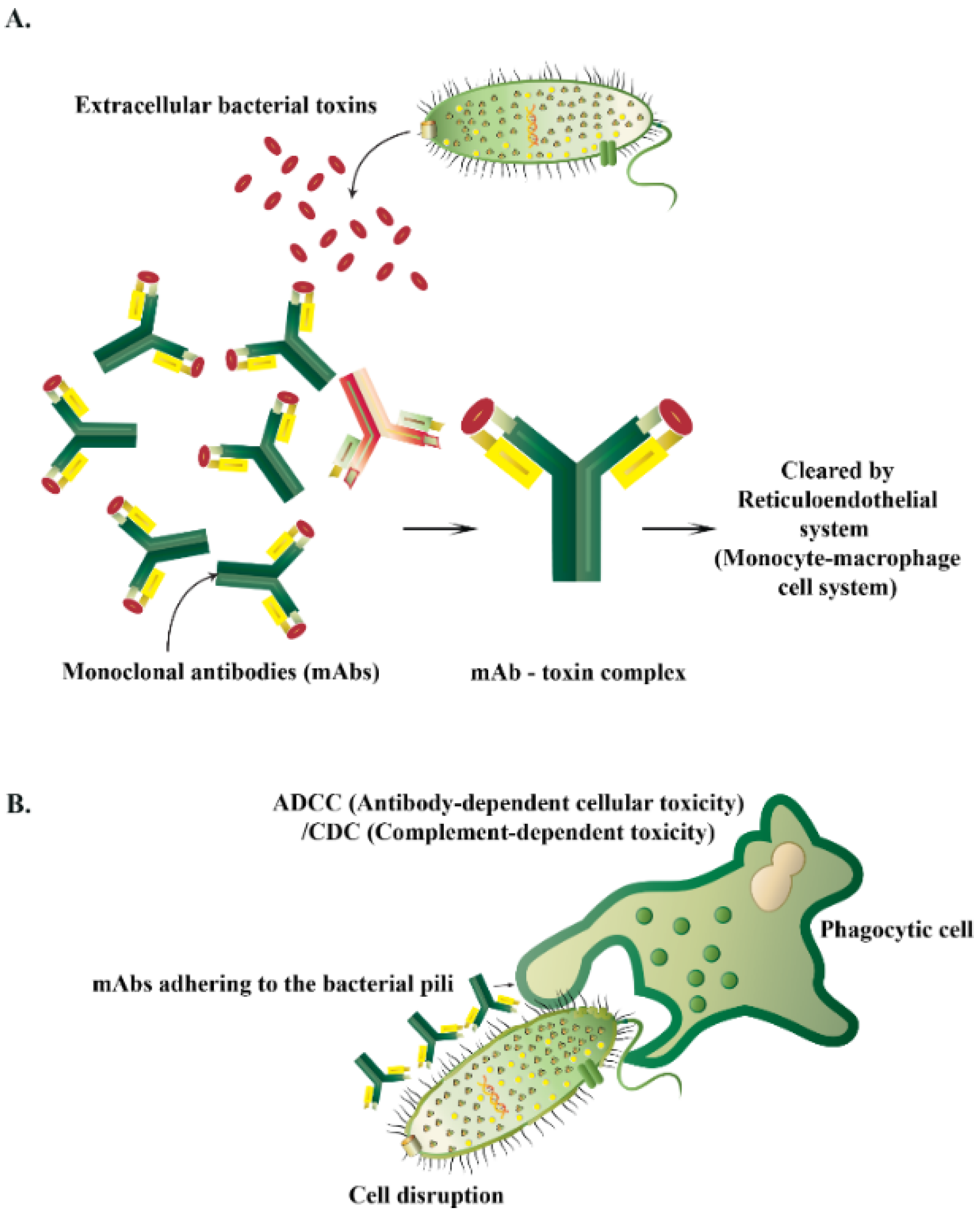Antibiotics 12 00274 g006