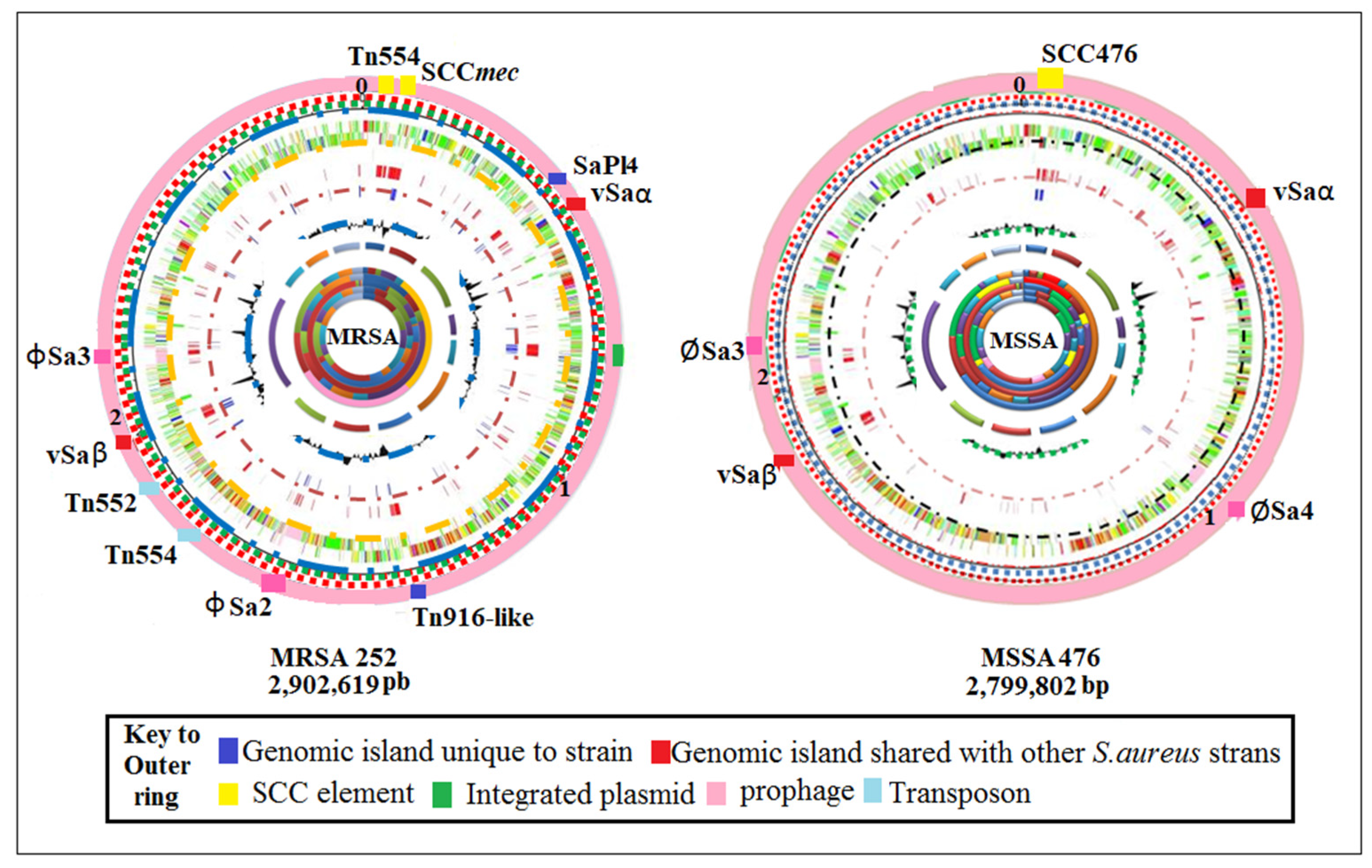 Antibiotics 12 00286 g001