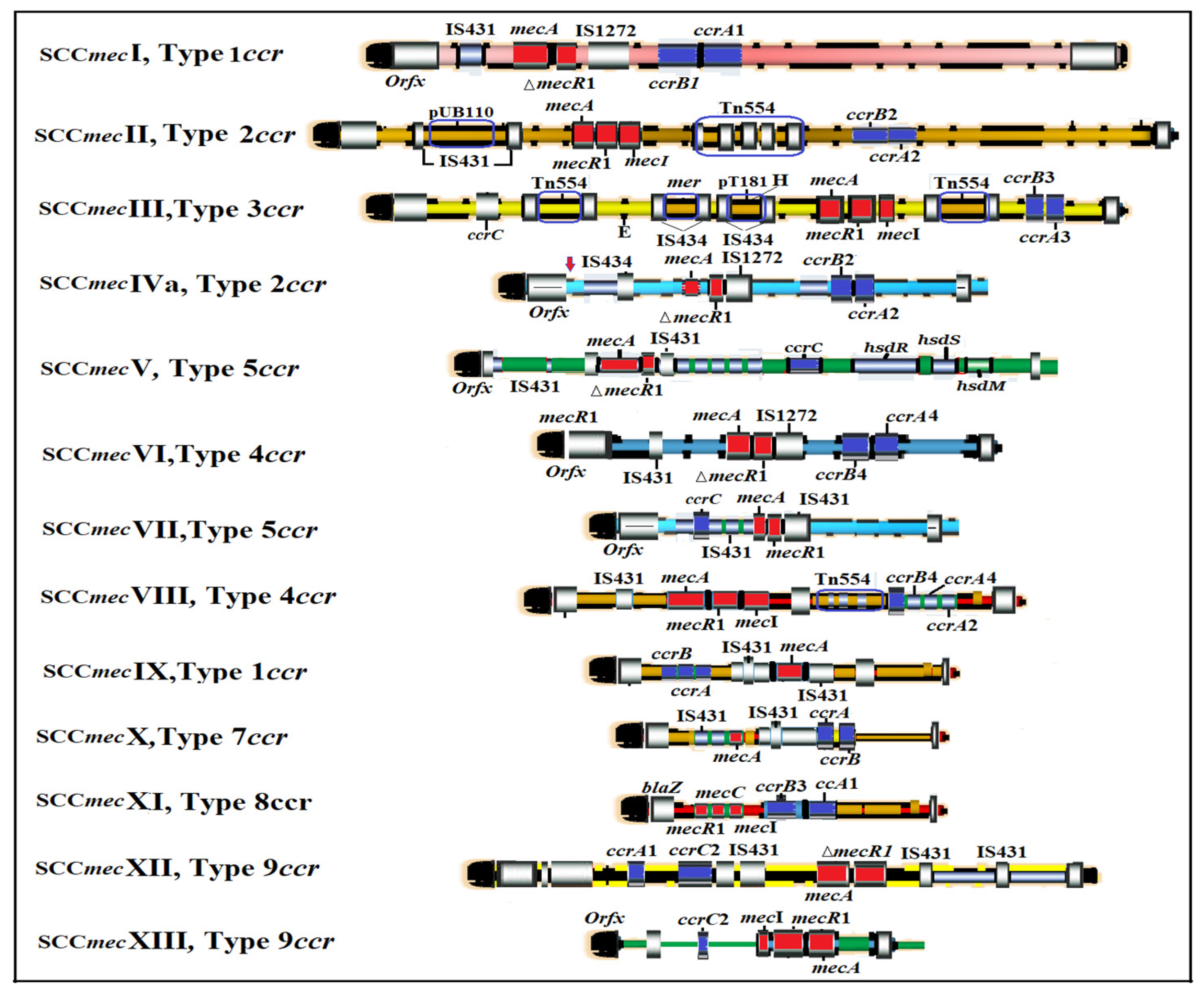 Antibiotics 12 00286 g002