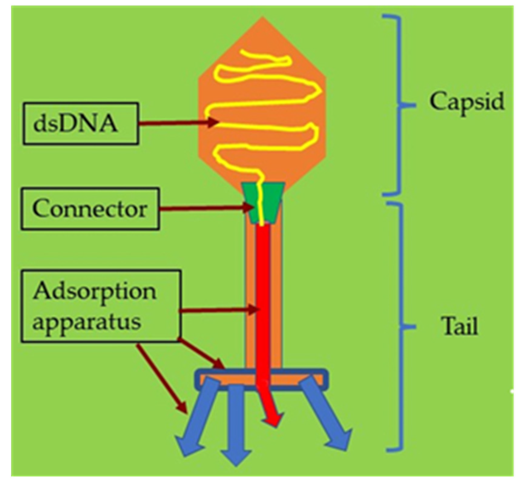 Antibiotics 12 00286 g004
