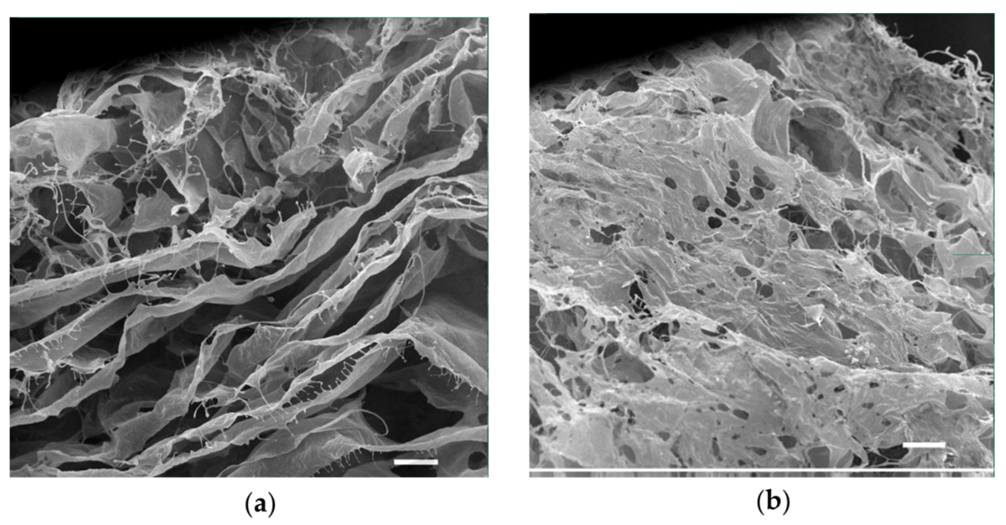 Antibiotics 12 00293 g003