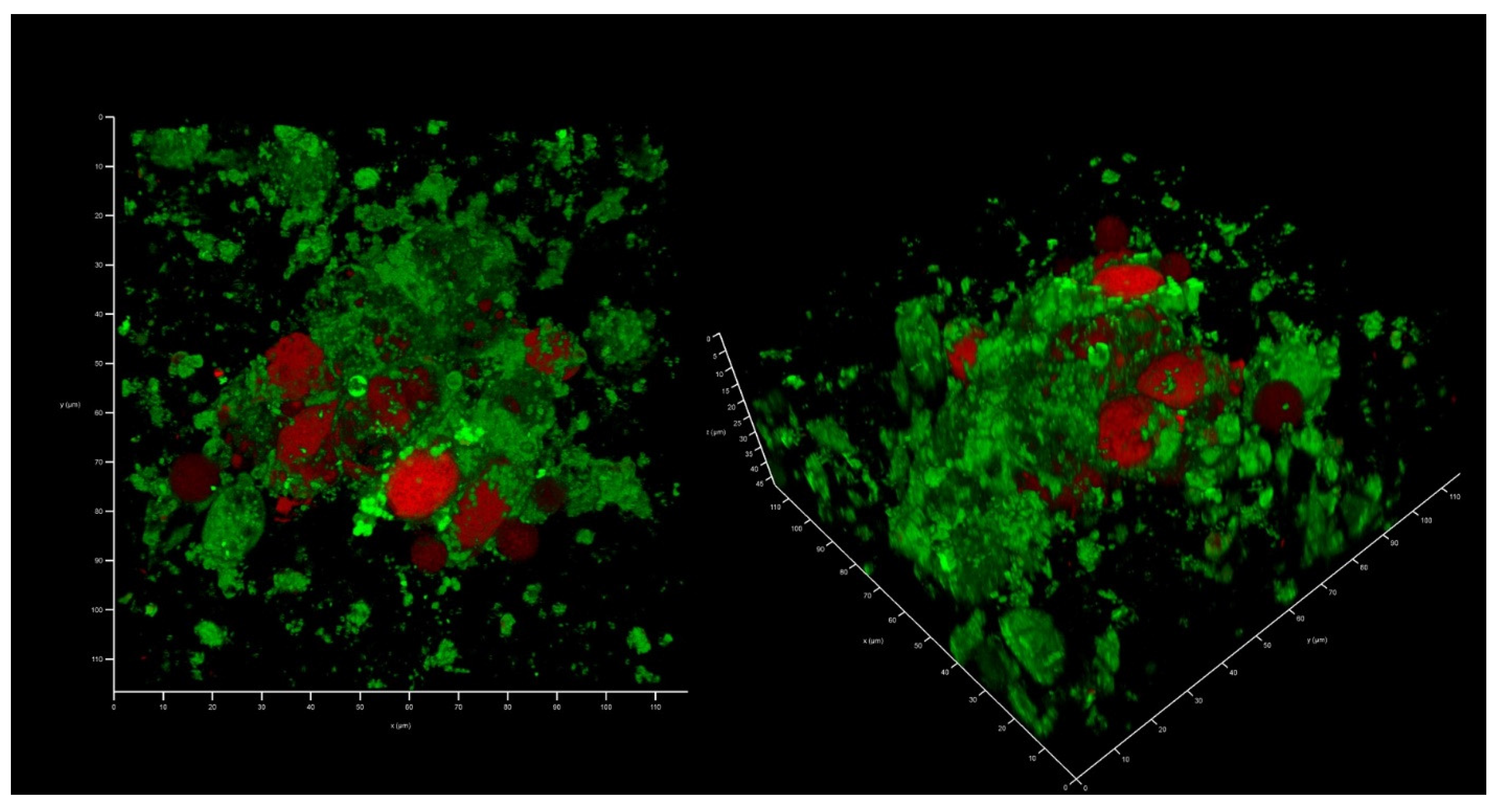 Antibiotics 12 00293 g004