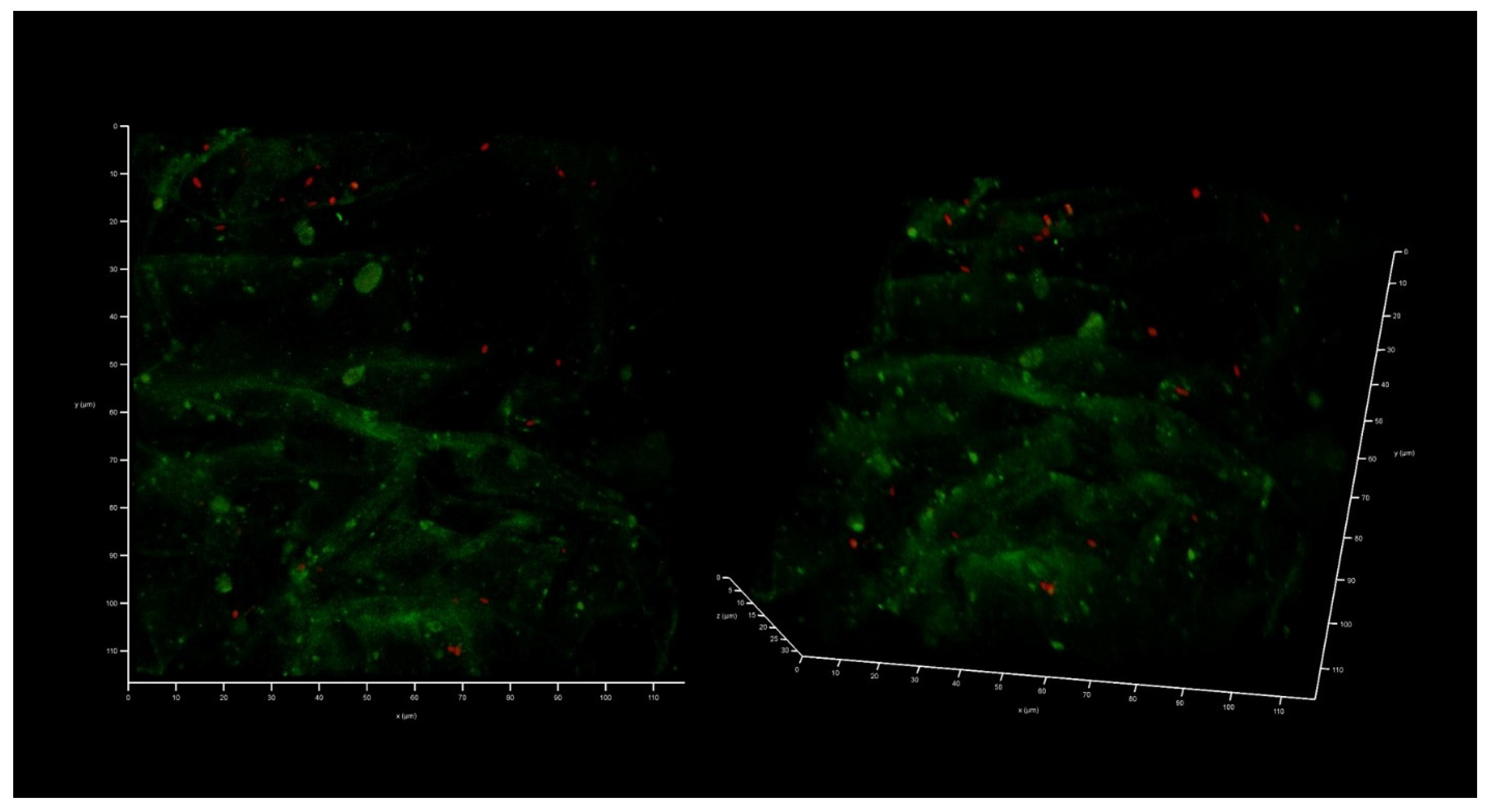 Antibiotics 12 00293 g005