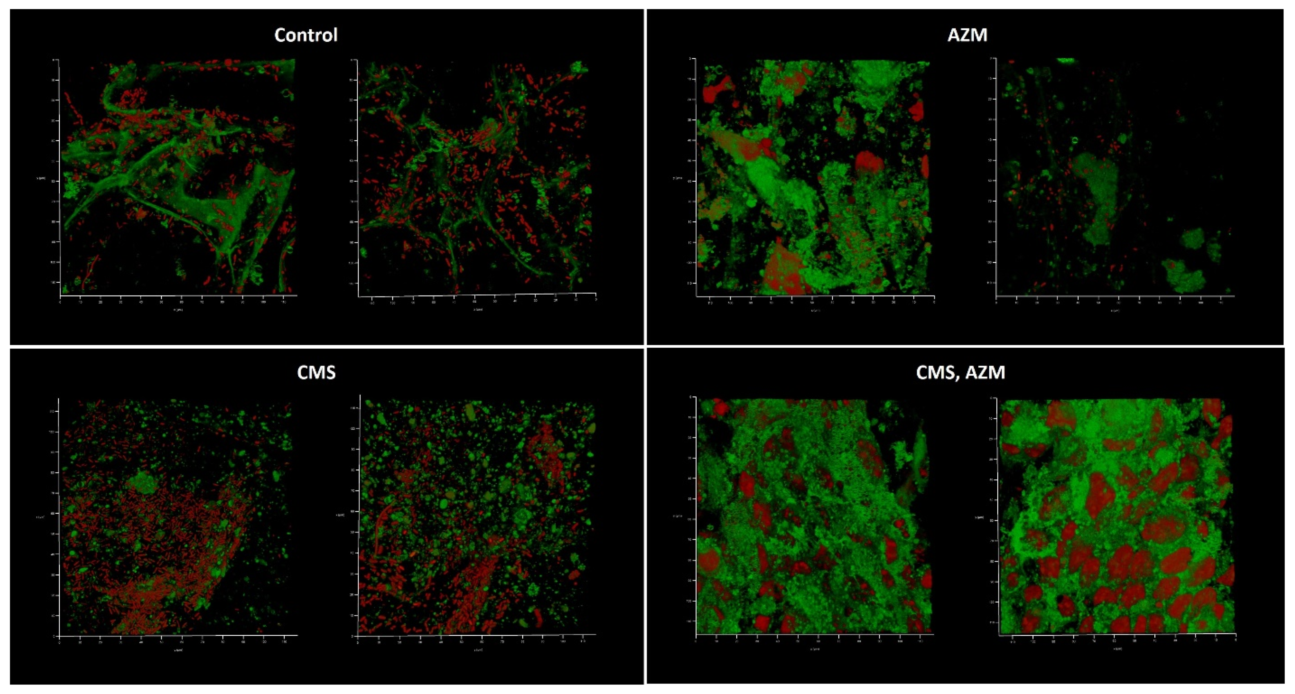 Antibiotics 12 00293 g006
