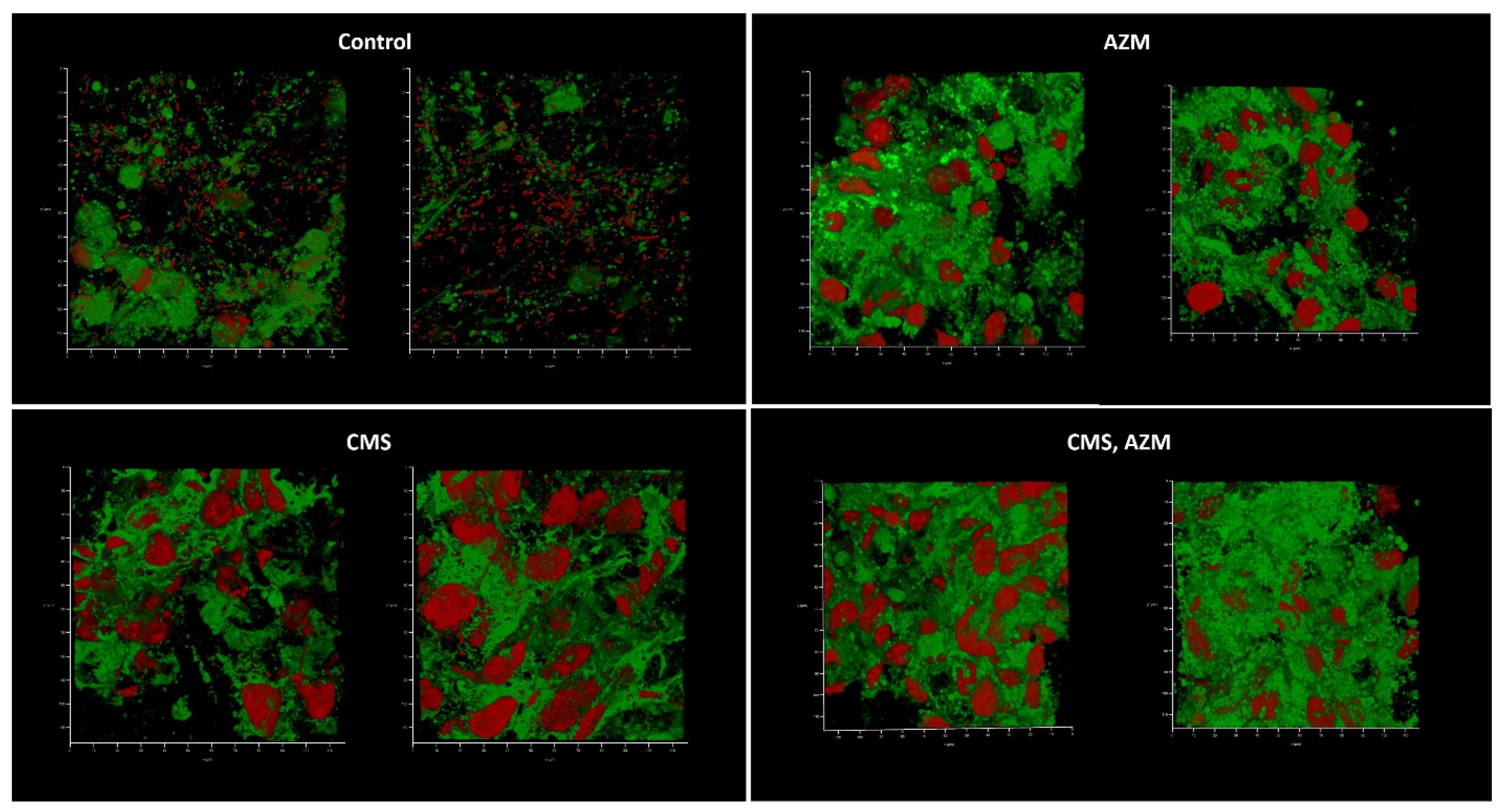 Antibiotics 12 00293 g008