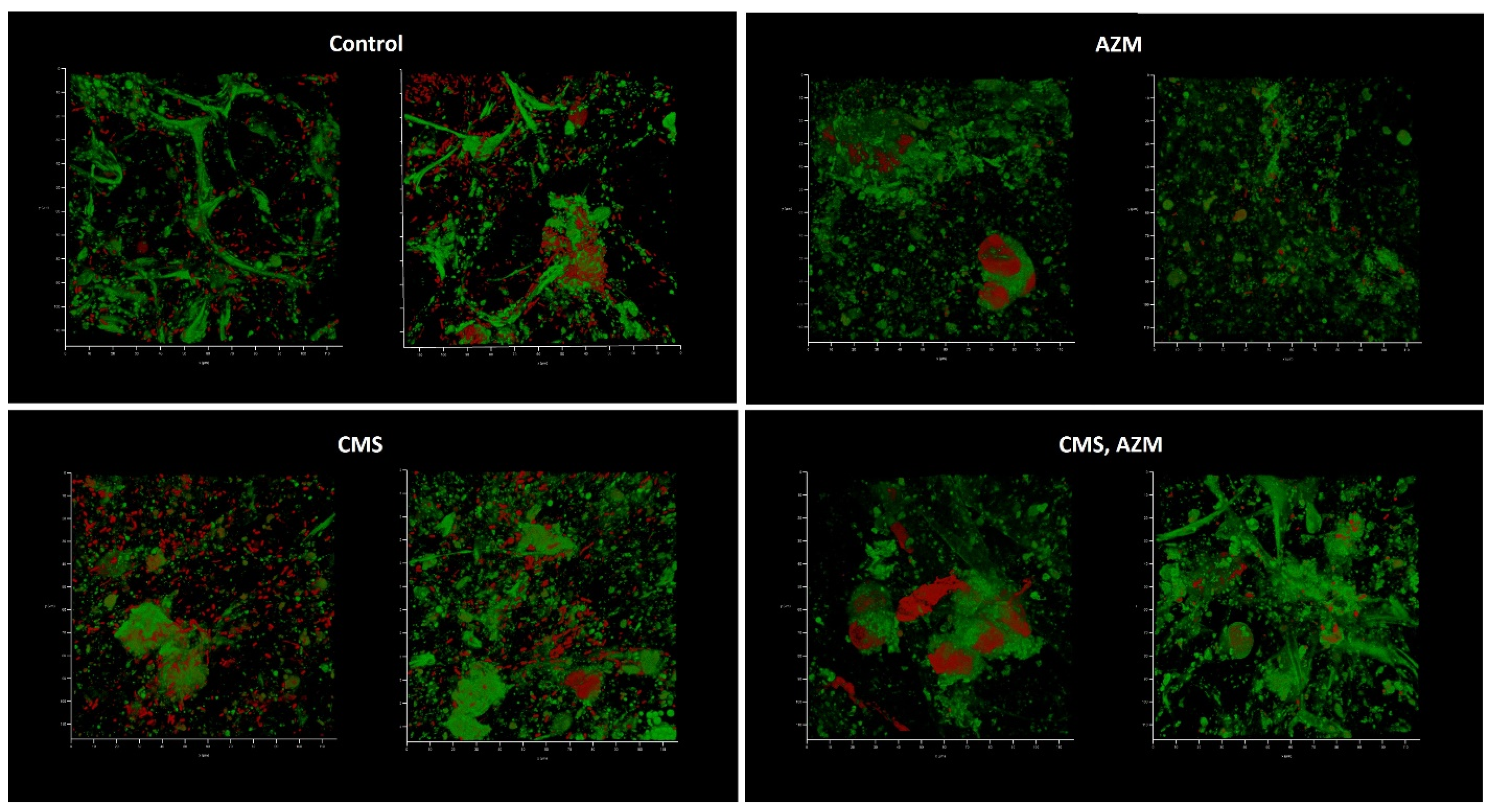 Antibiotics 12 00293 g009