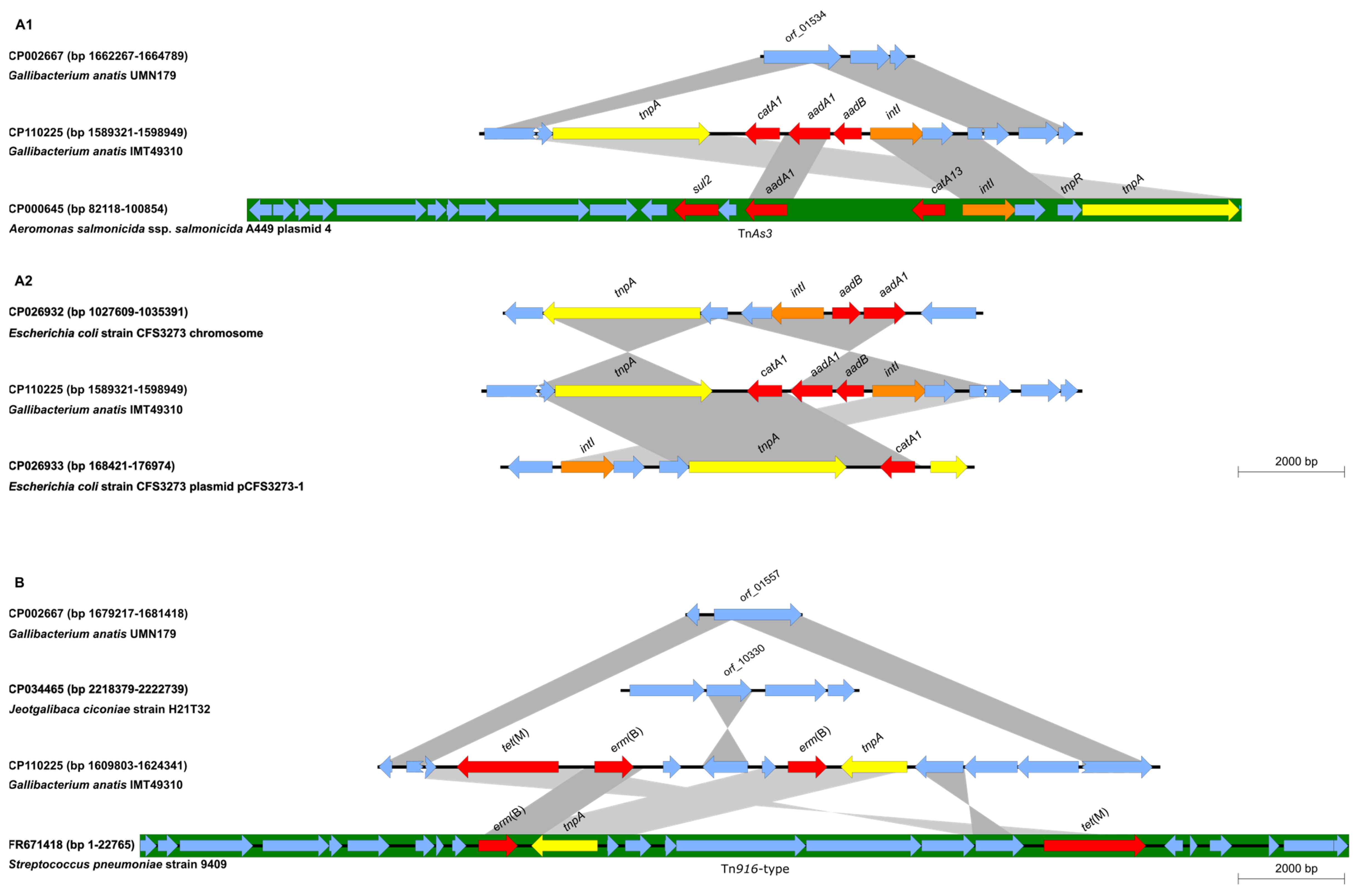 Antibiotics 12 00294 g001a