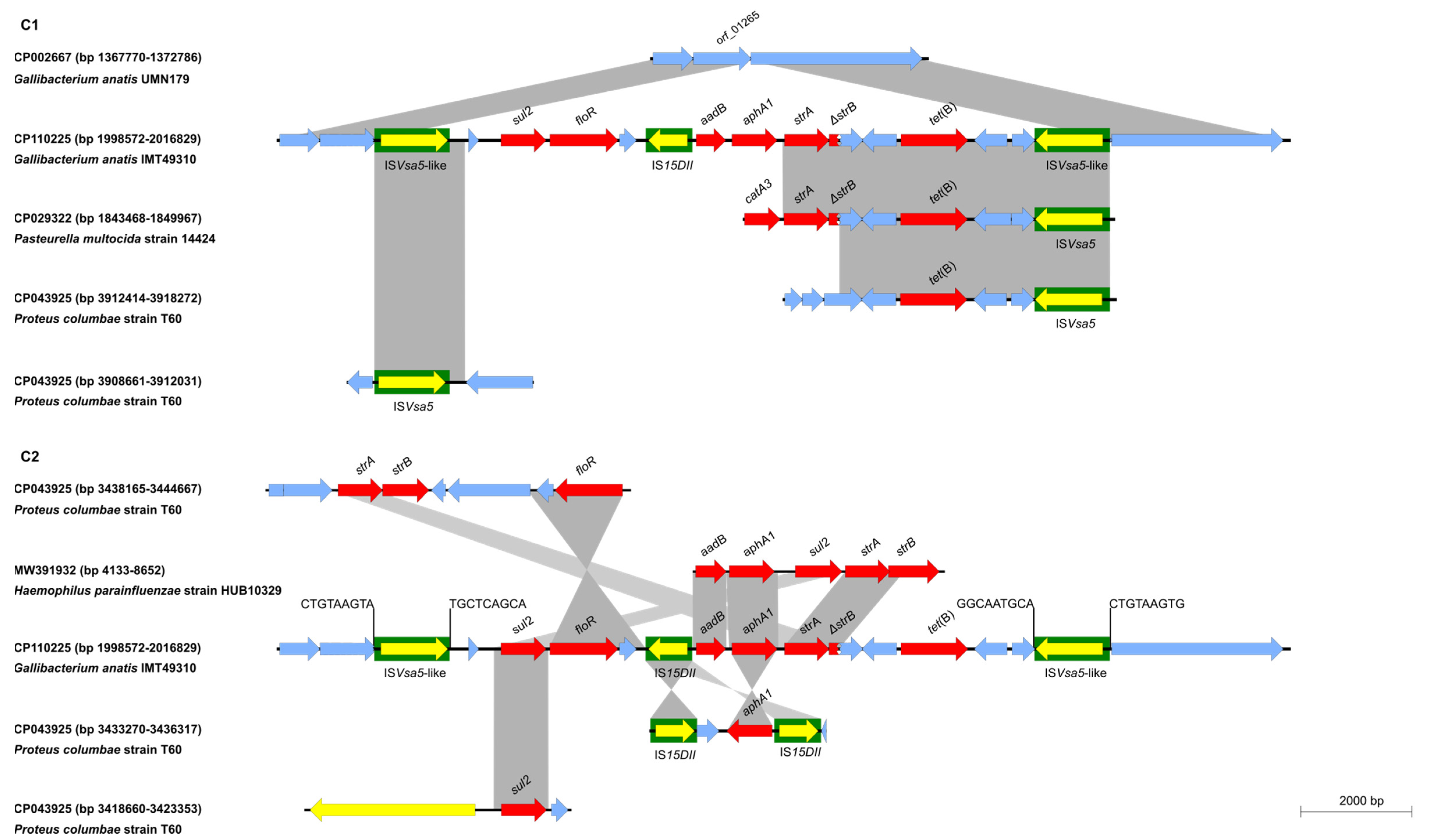 Antibiotics 12 00294 g001b