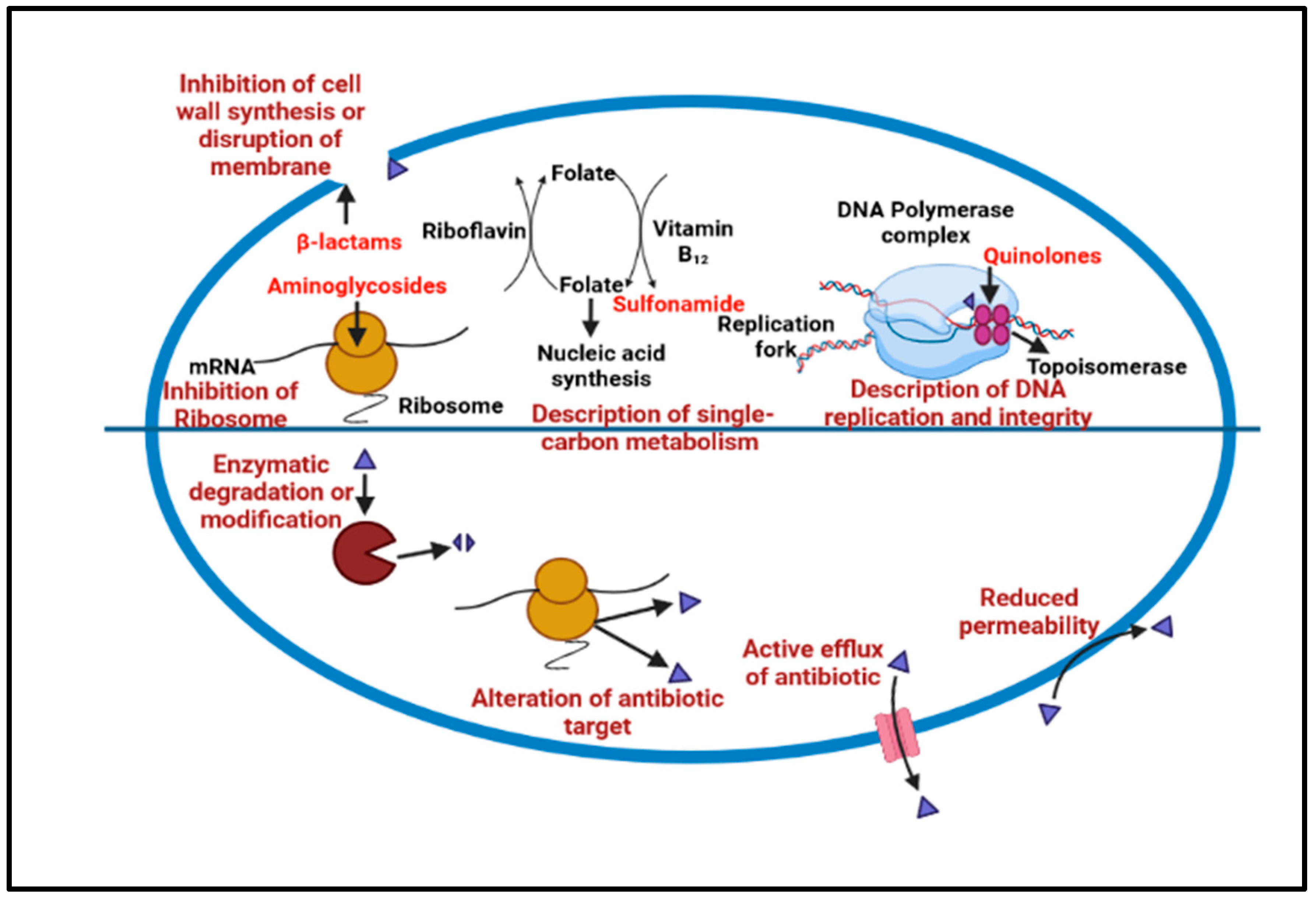 Antibiotics 12 00299 g002 Antibiotics 12 00299 g002