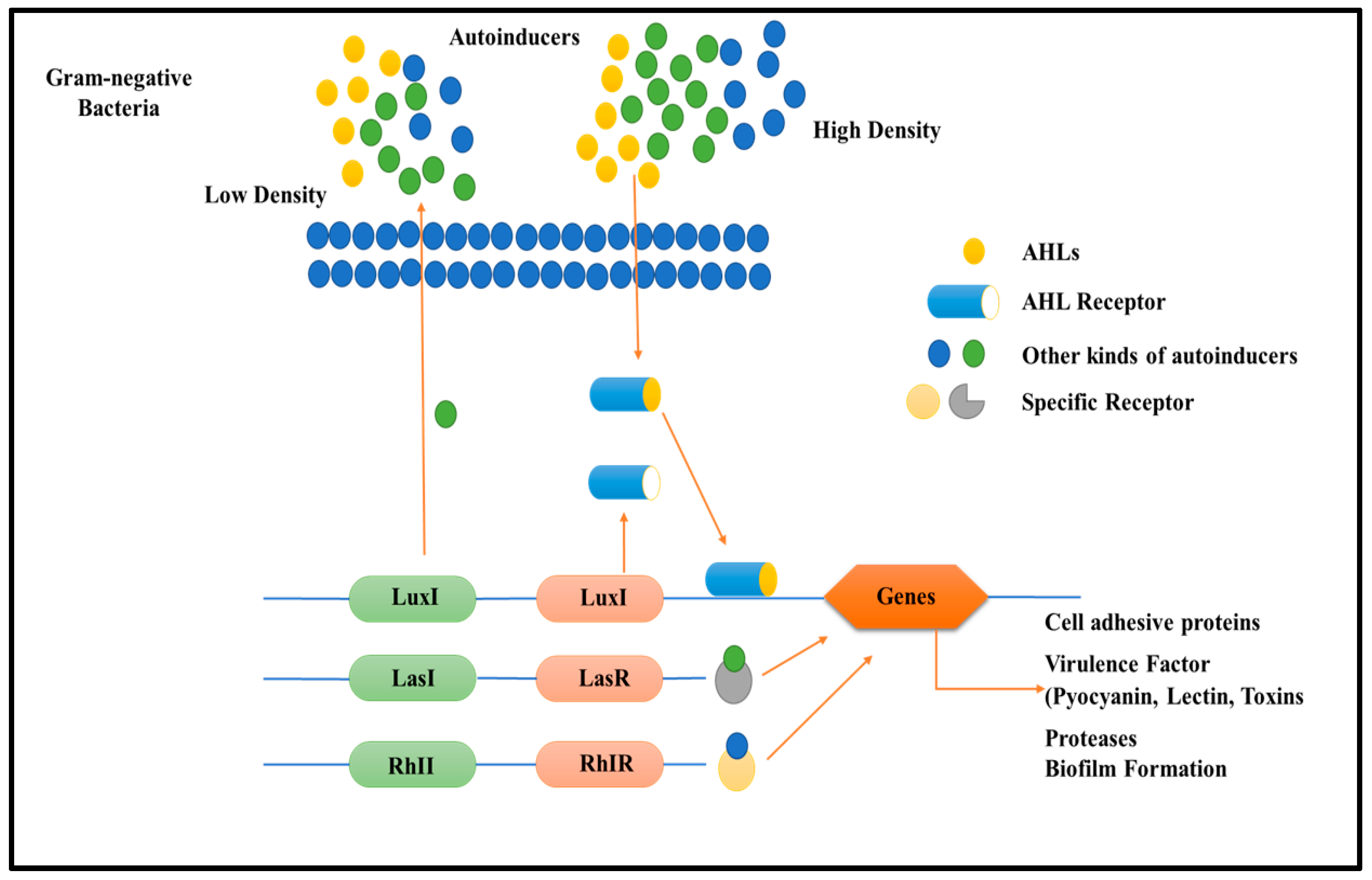 Antibiotics 12 00299 g003 Antibiotics 12 00299 g003