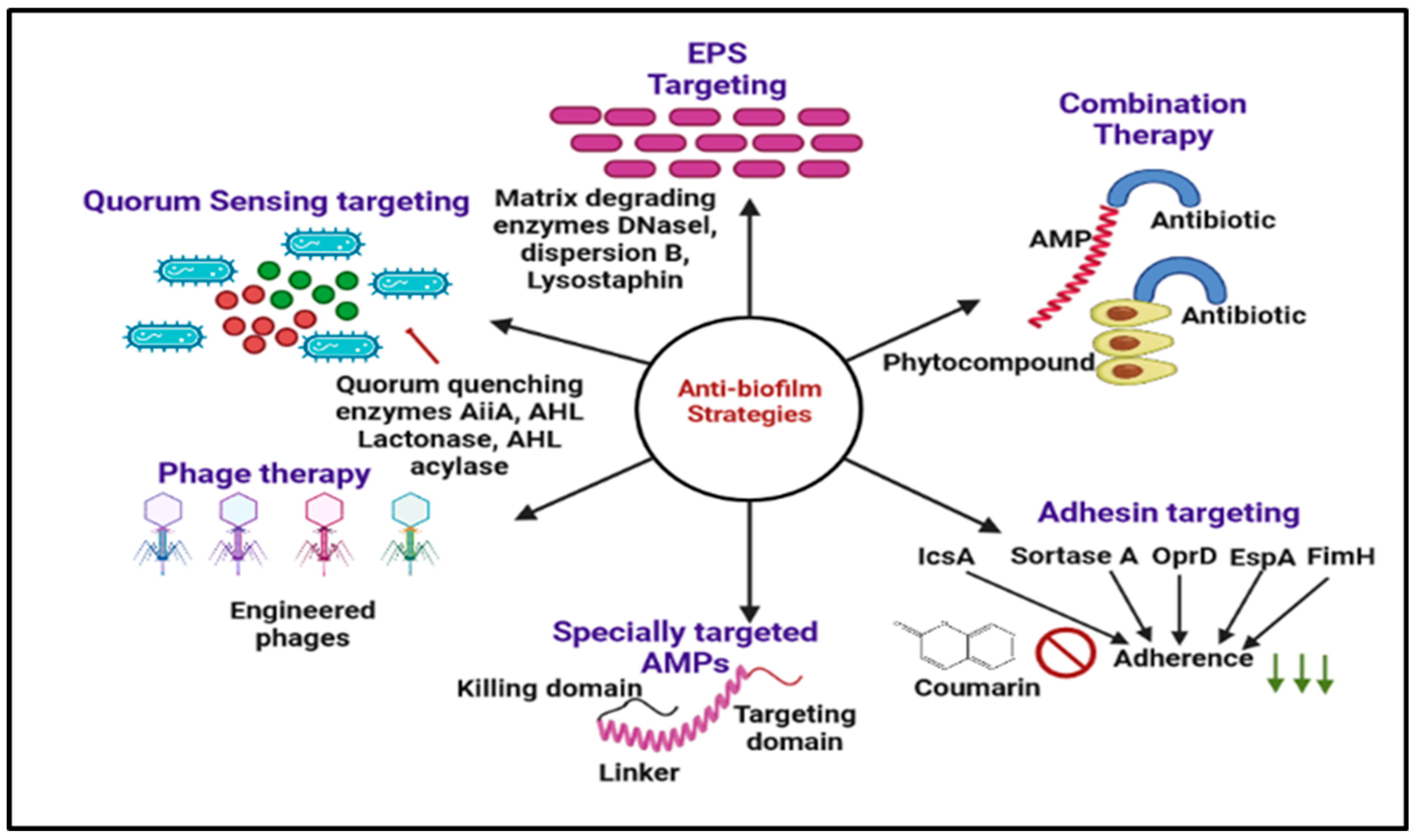 Antibiotics 12 00299 g006 Antibiotics 12 00299 g006