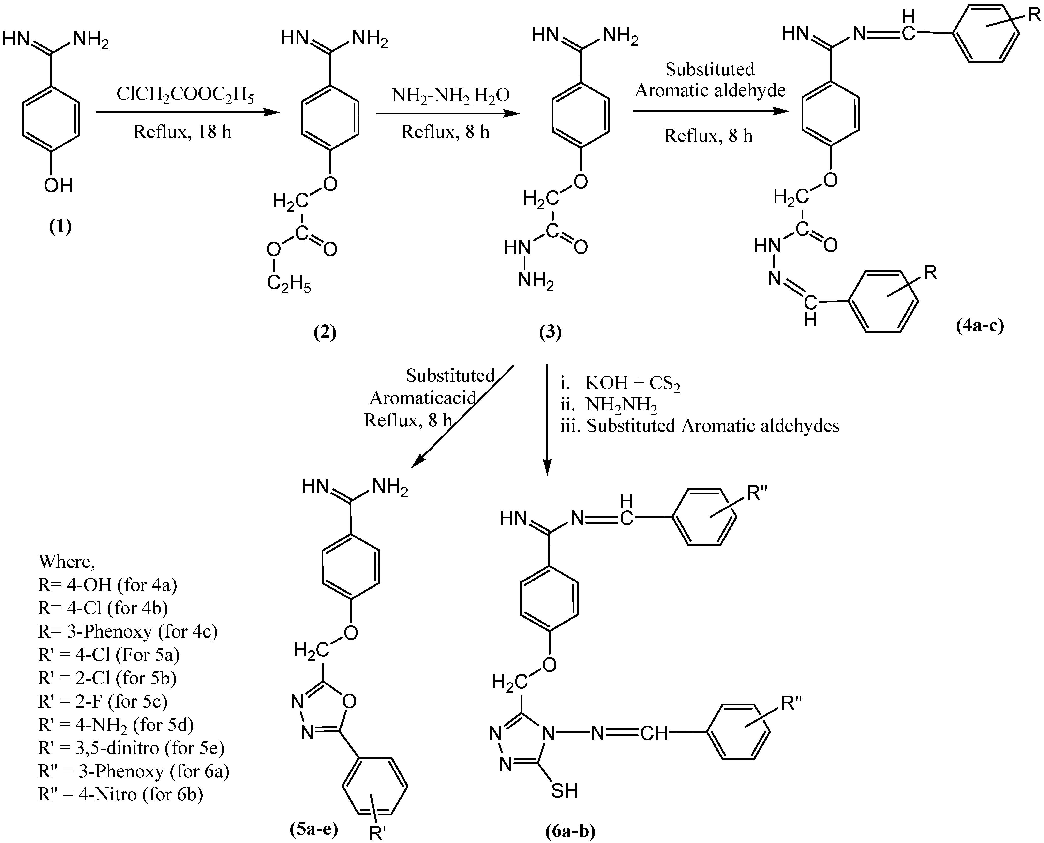 Antibiotics 12 00306 g001