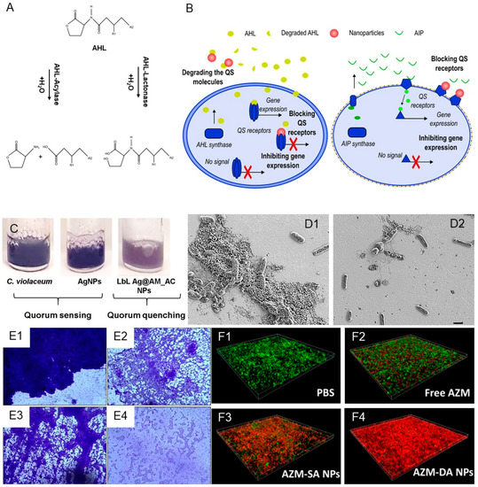 Antibiotics 12 00310 g001