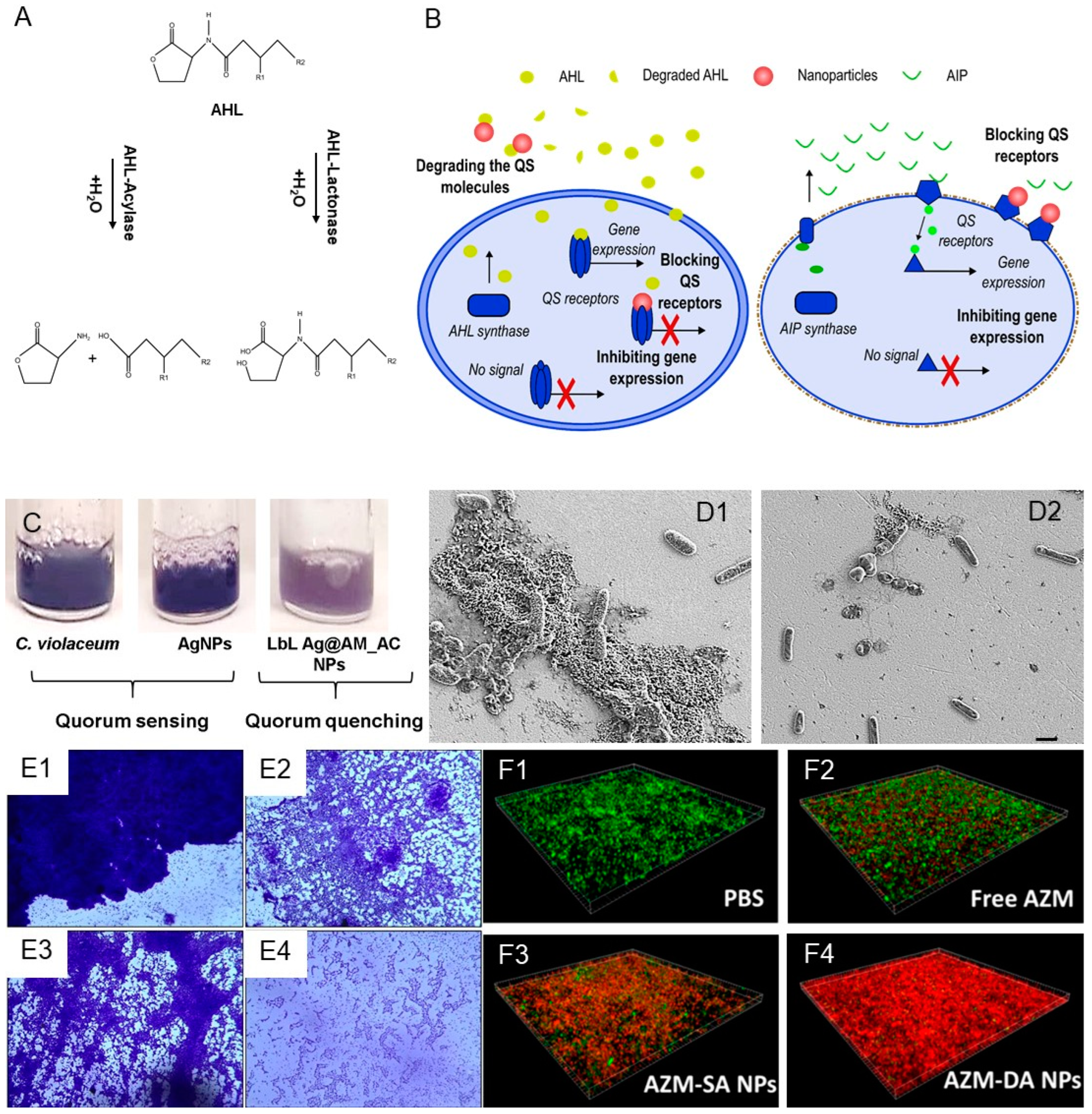 Antibiotics 12 00310 g001