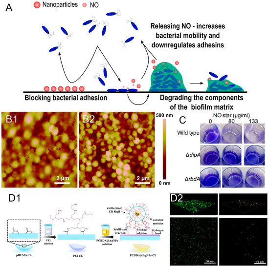 Antibiotics 12 00310 g002