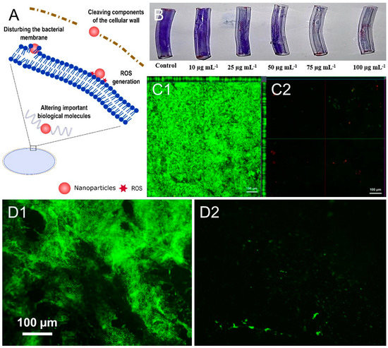 Antibiotics 12 00310 g003