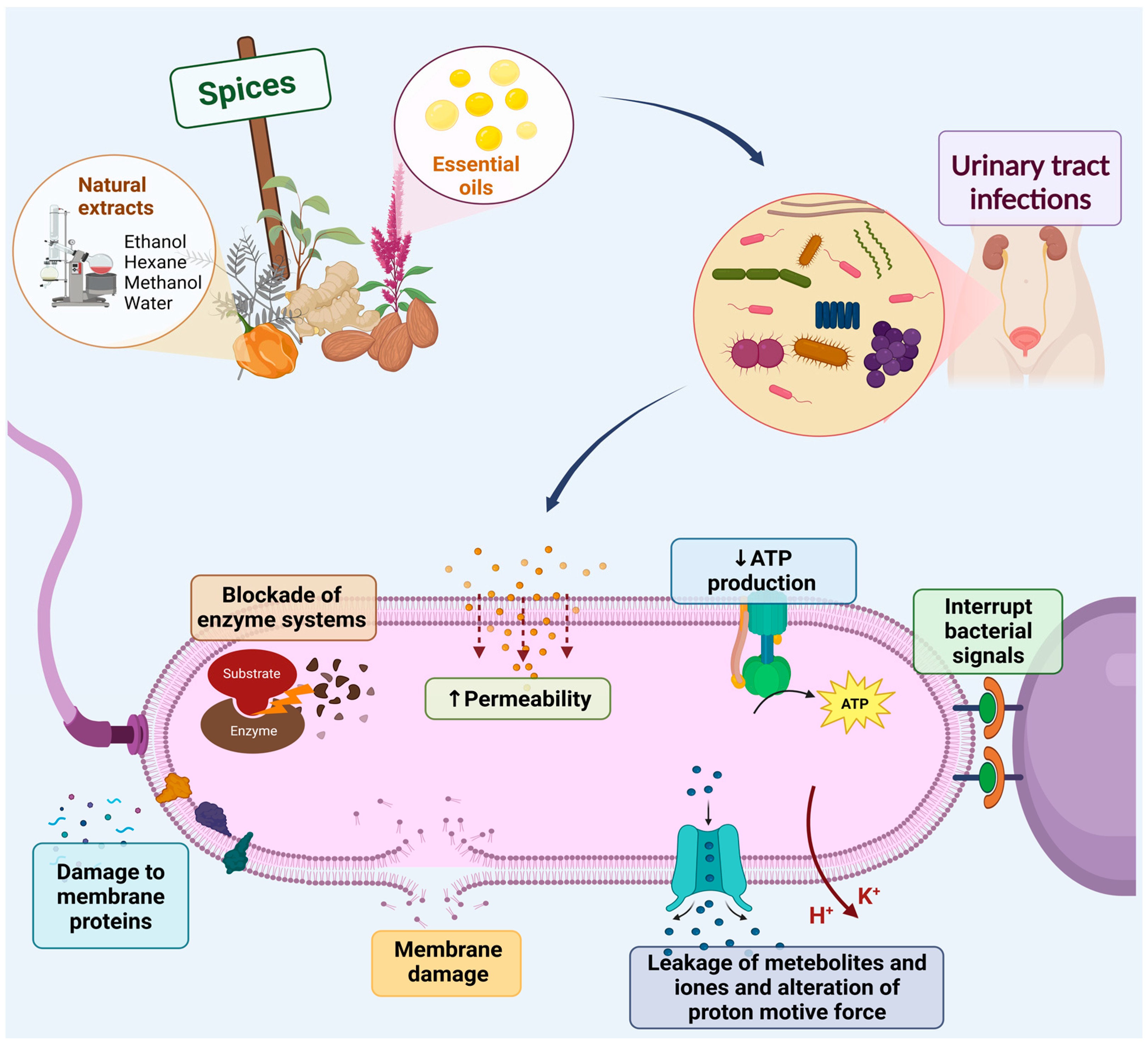 Antibiotics 12 00325 g001