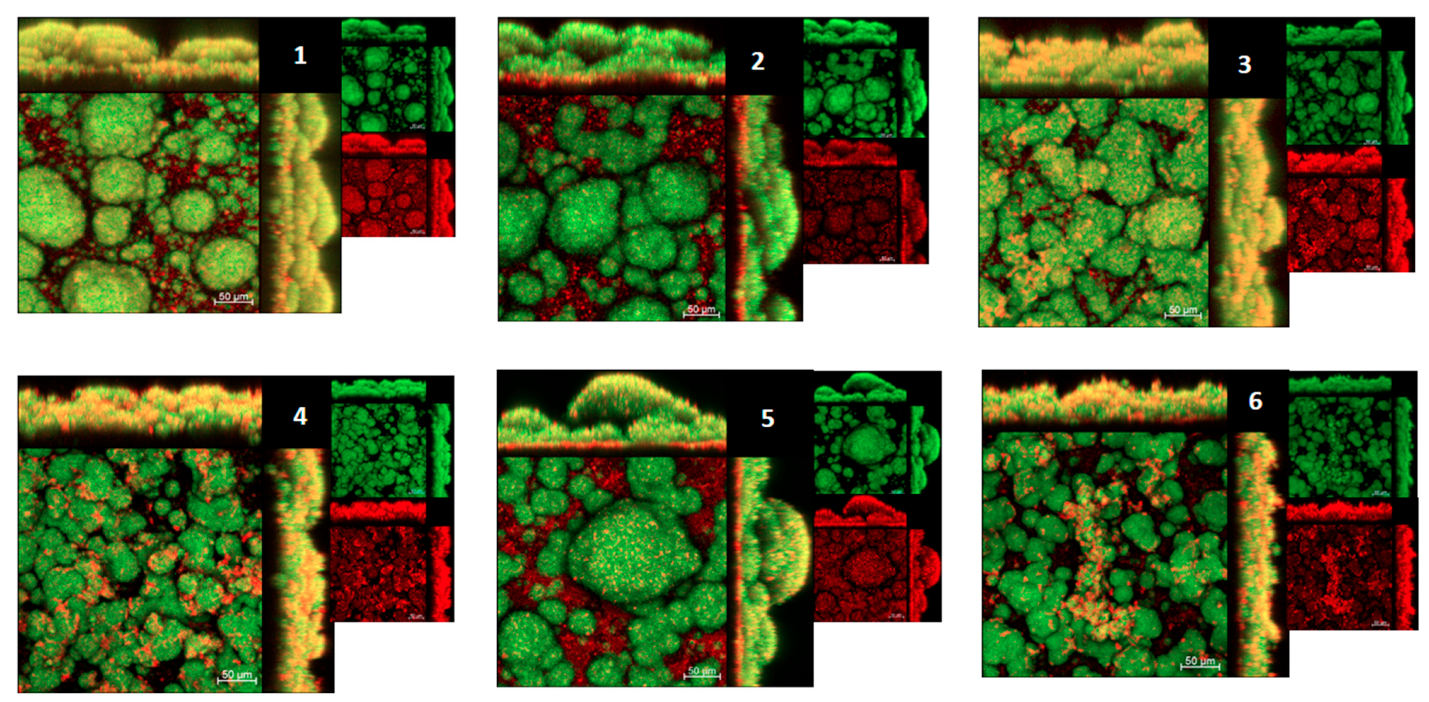 Antibiotics 12 00329 g007 Antibiotics 12 00329 g007