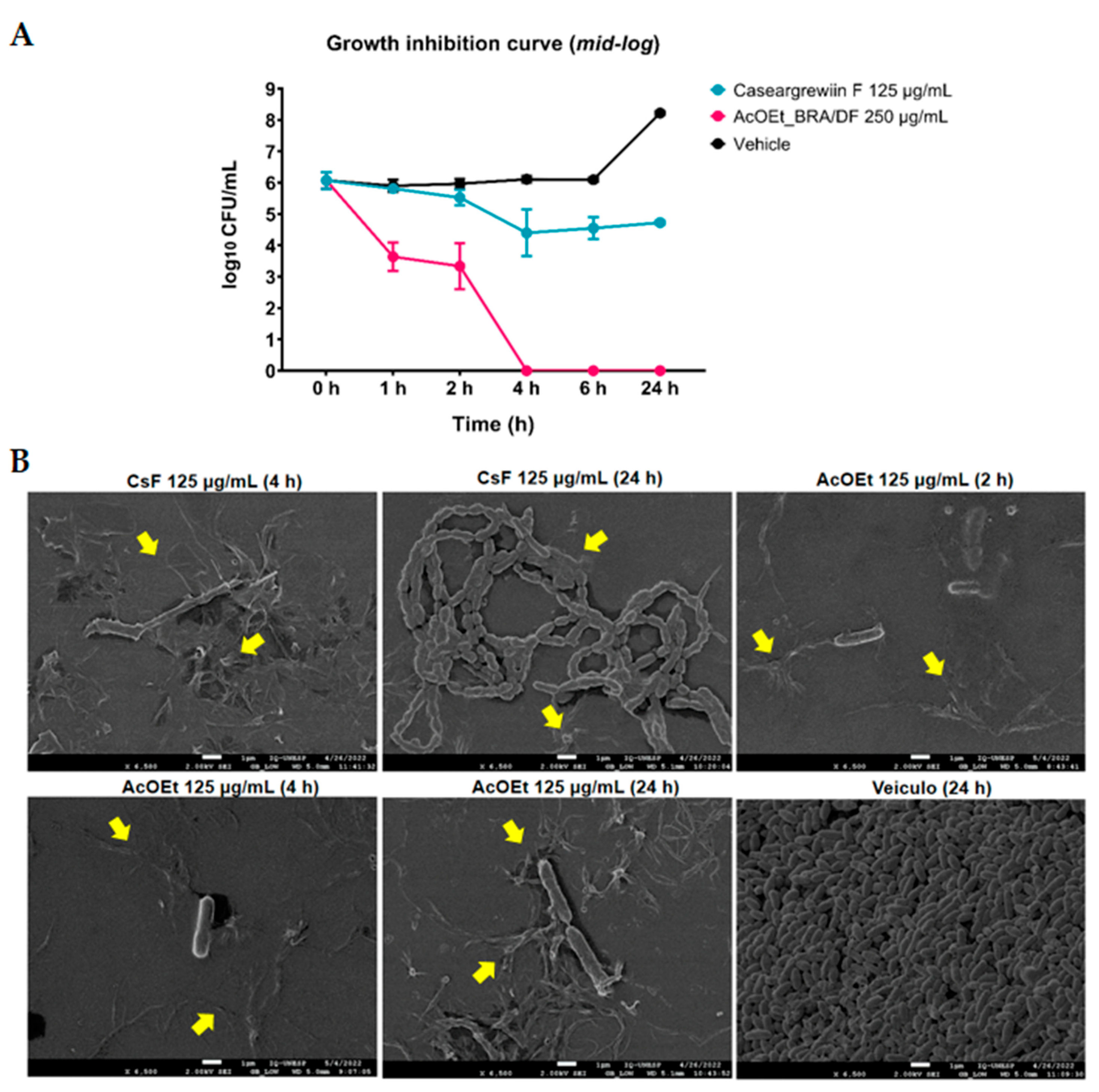 Antibiotics 12 00329 g008 Antibiotics 12 00329 g008