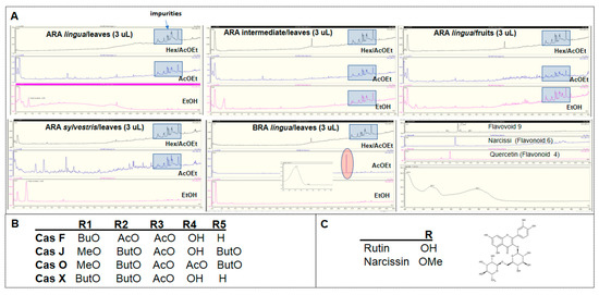 Antibiotics 12 00329 g0a2