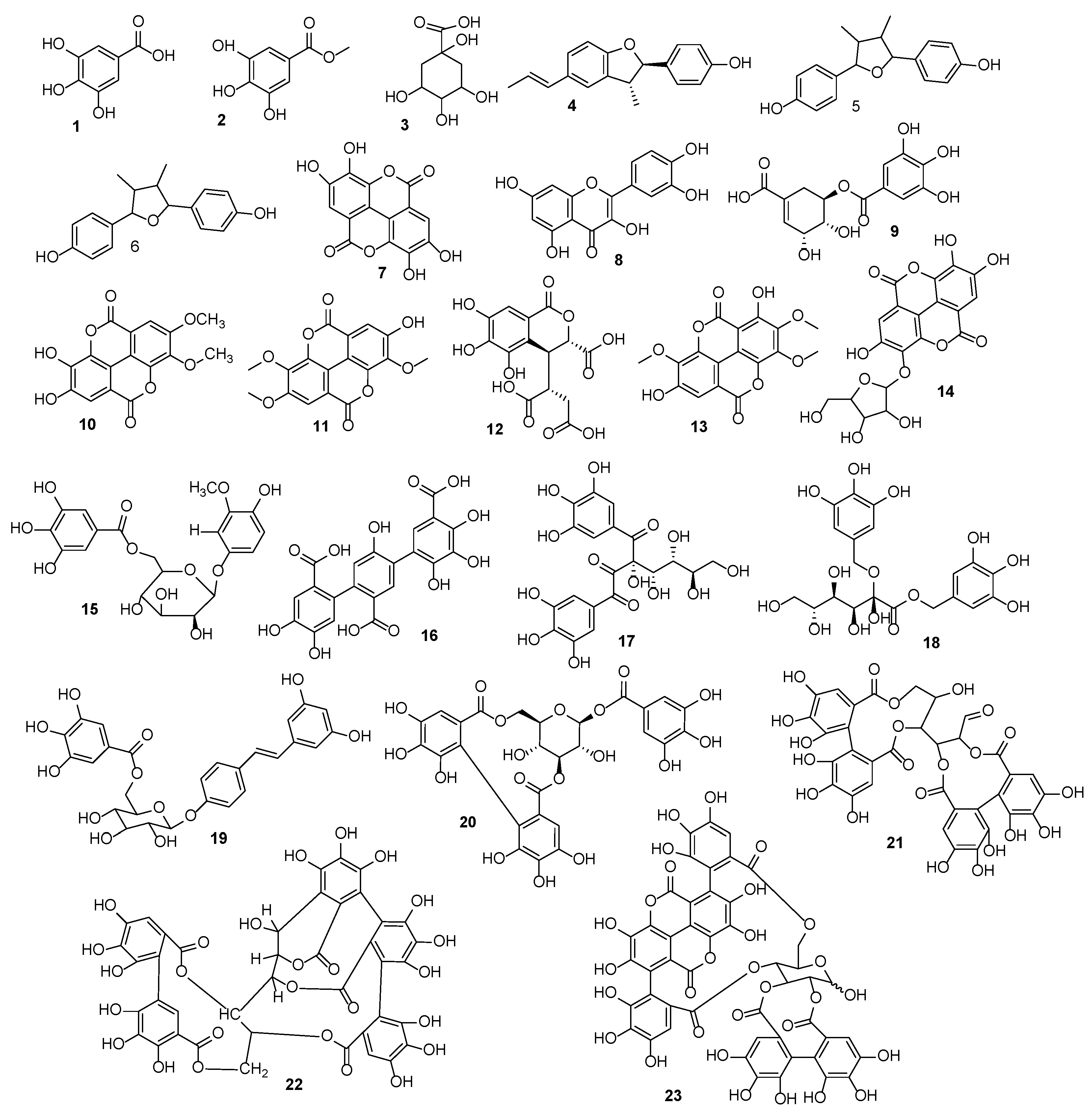 Antibiotics 12 00354 g001