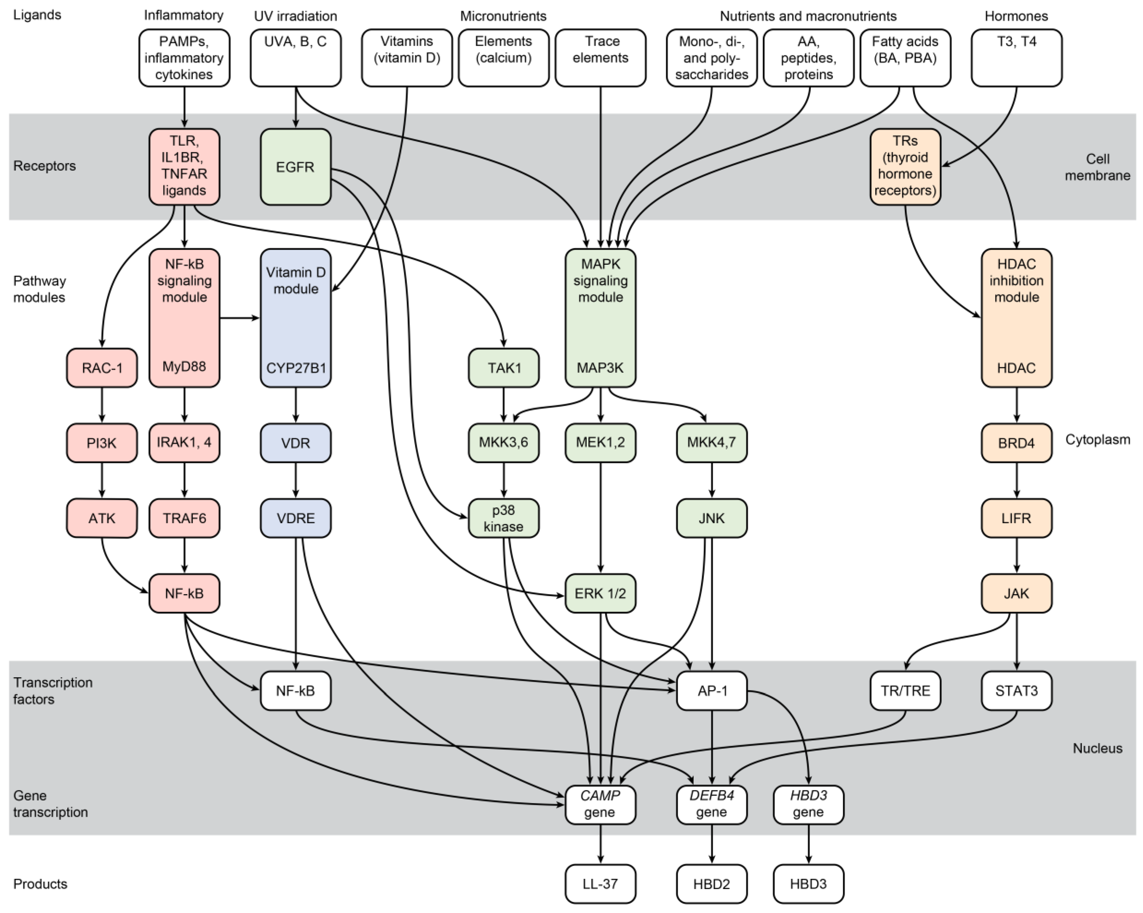 Antibiotics 12 00361 g001
