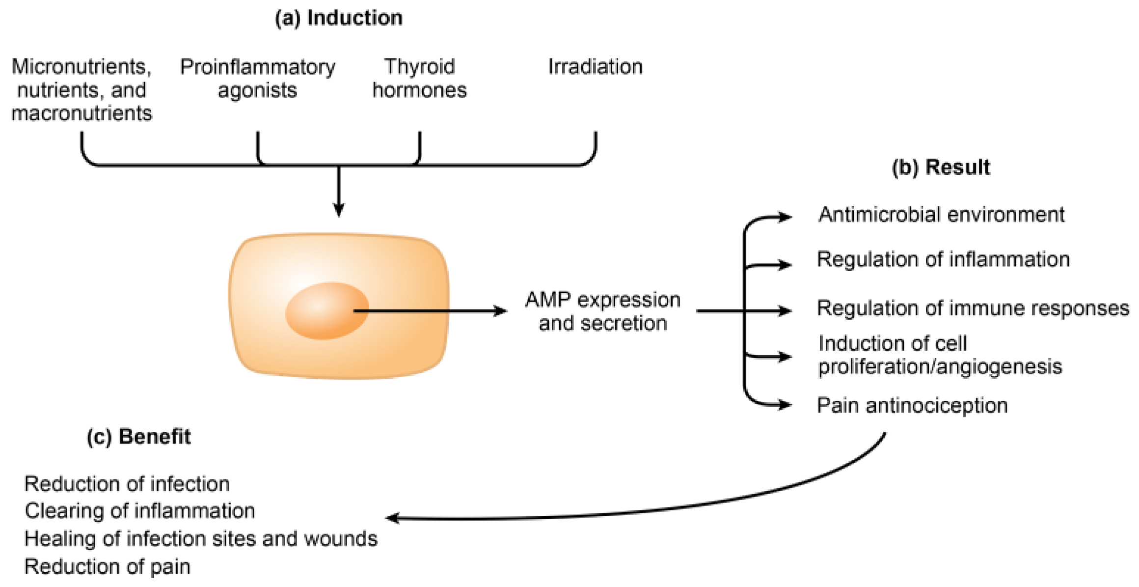 Antibiotics 12 00361 sch001