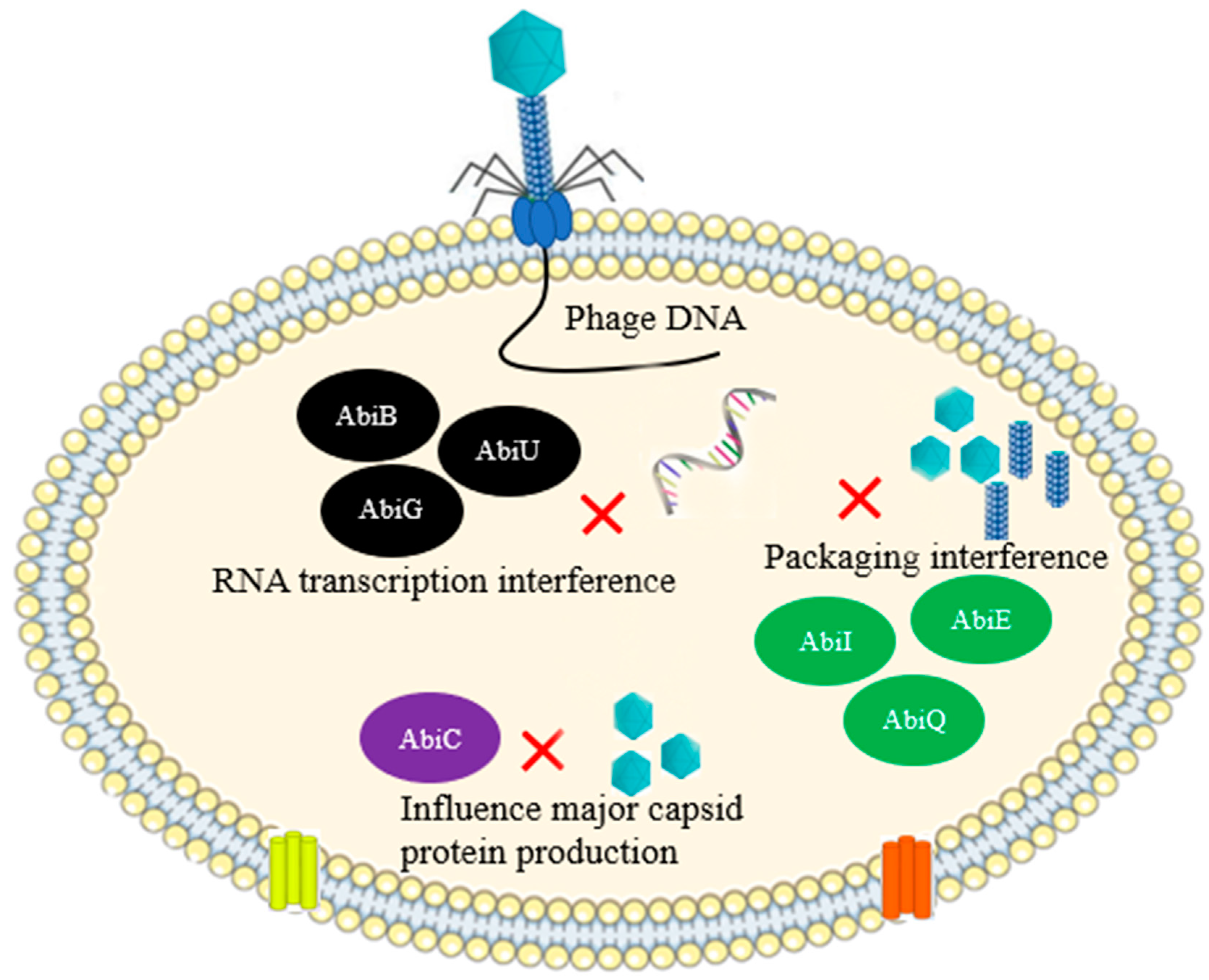 Antibiotics 12 00381 g006