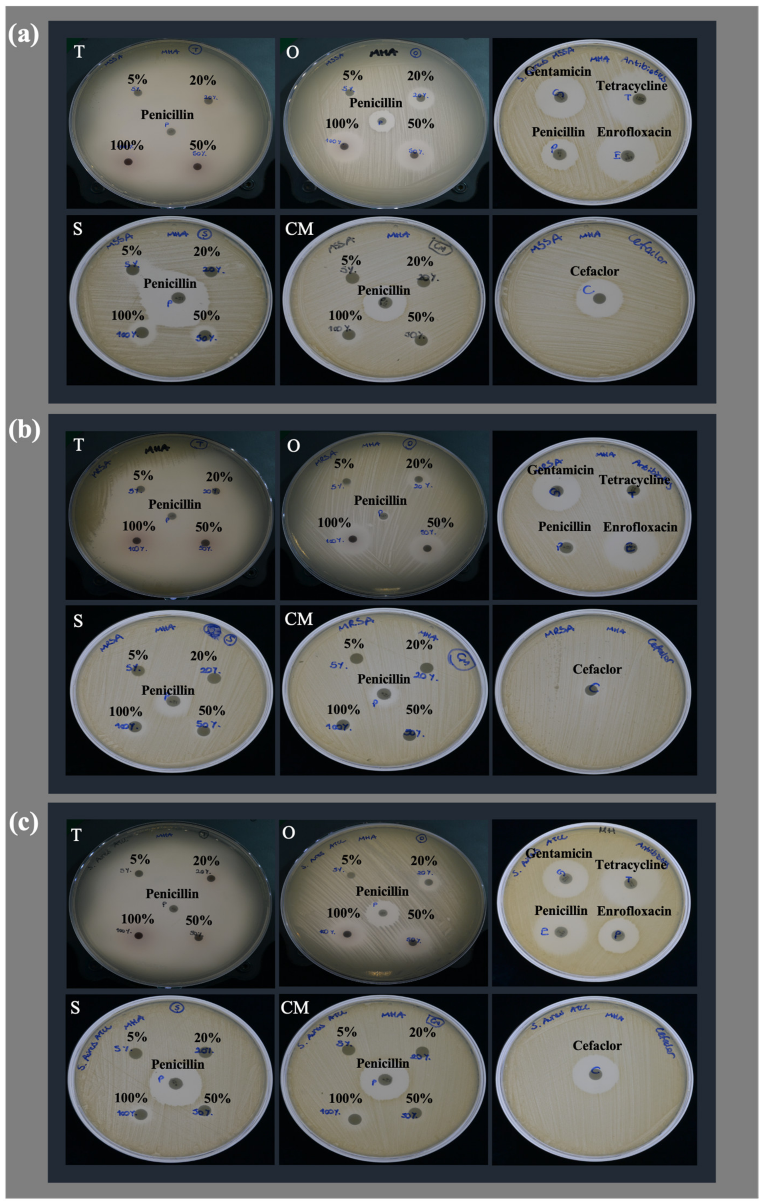 Antibiotics 12 00384 g001