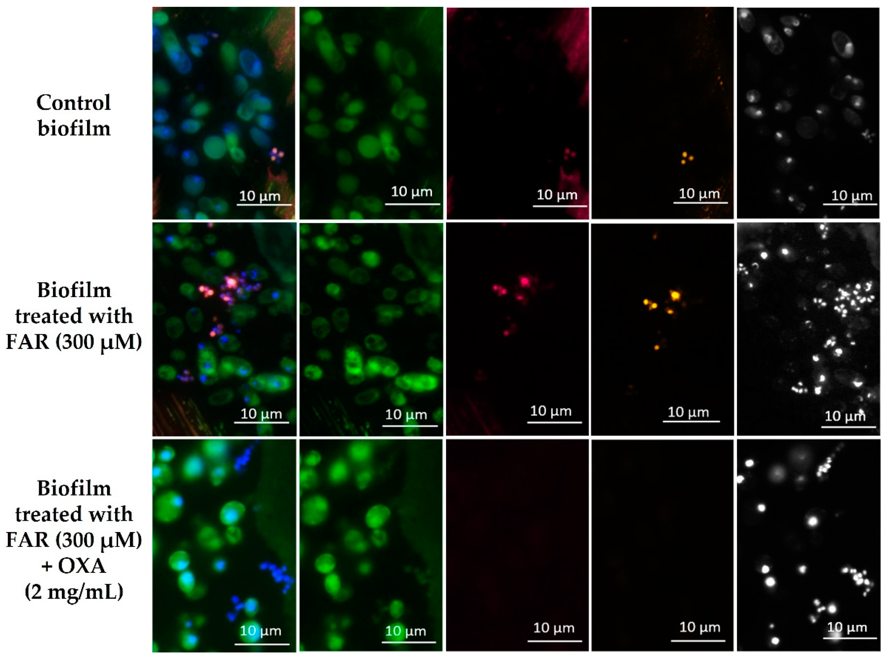 Antibiotics 12 00441 g005 Antibiotics 12 00441 g005