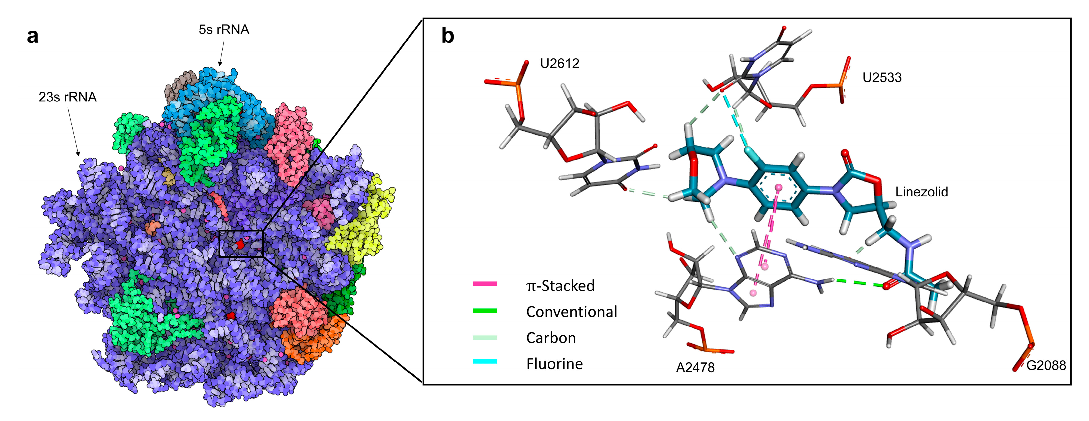 Antibiotics 12 00463 g001