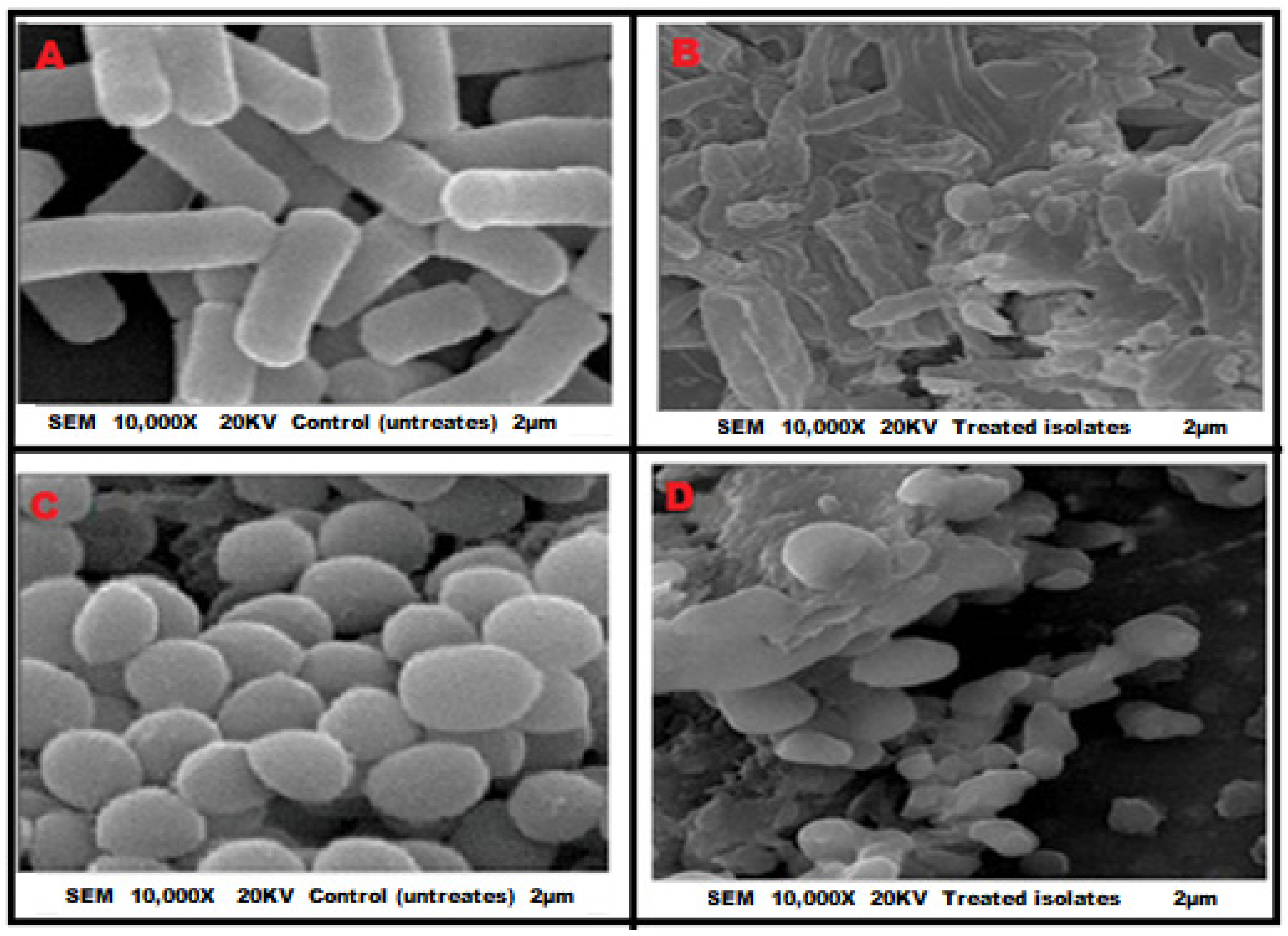 Antibiotics 12 00464 g002