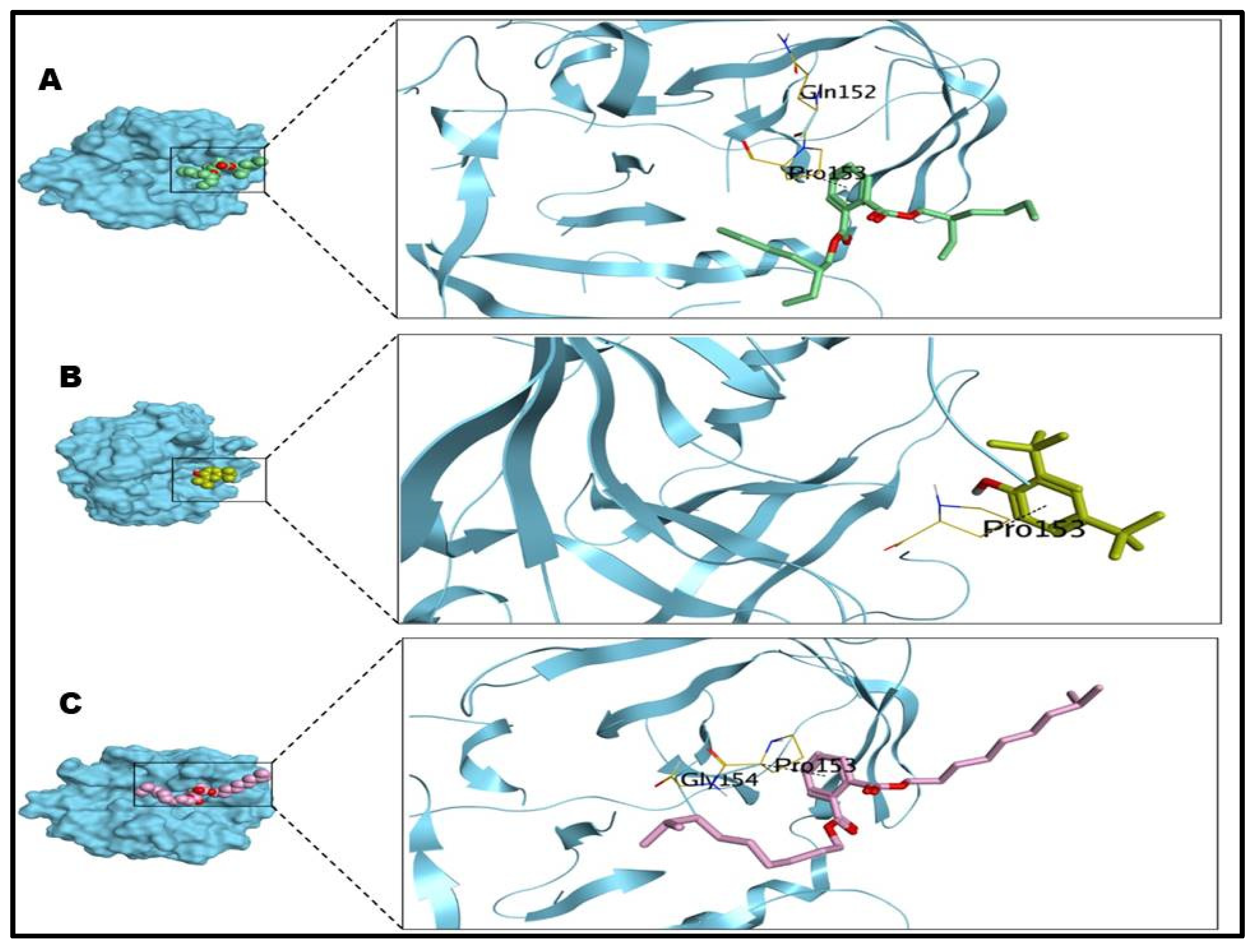 Antibiotics 12 00464 g005
