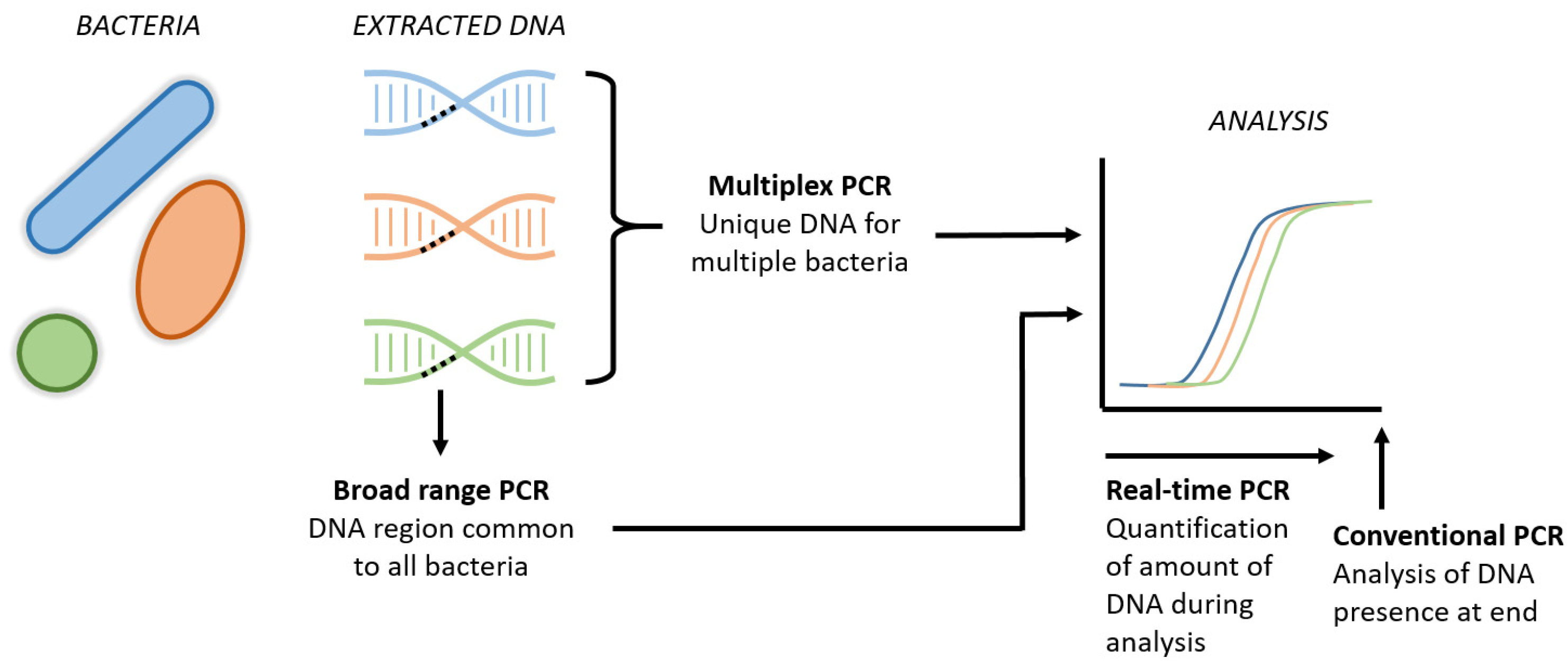 Antibiotics 12 00489 g002