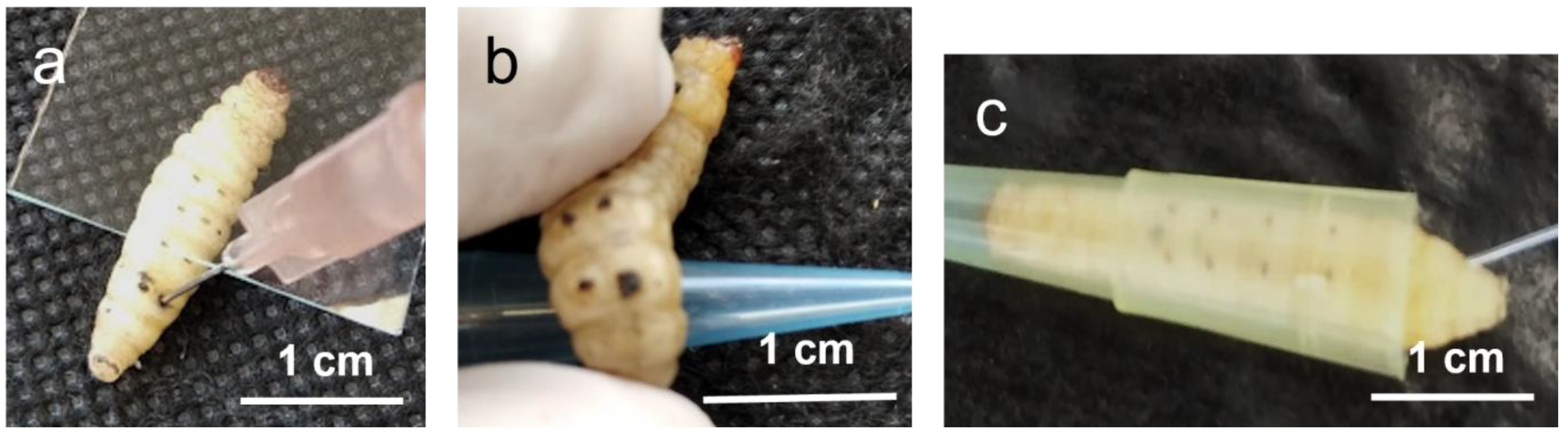 Antibiotics 12 00505 g002