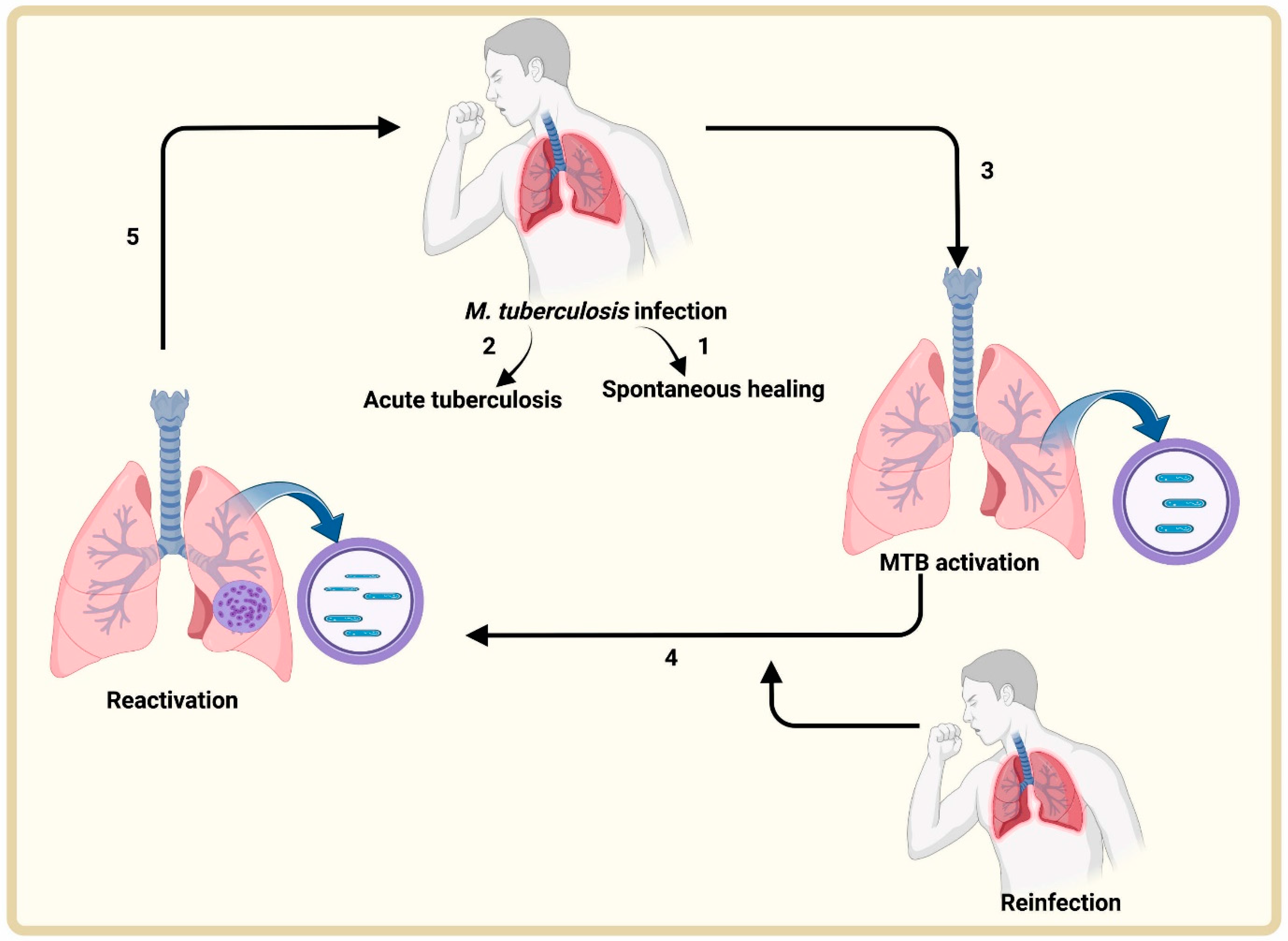 Antibiotics 12 00541 g001 Antibiotics 12 00541 g001