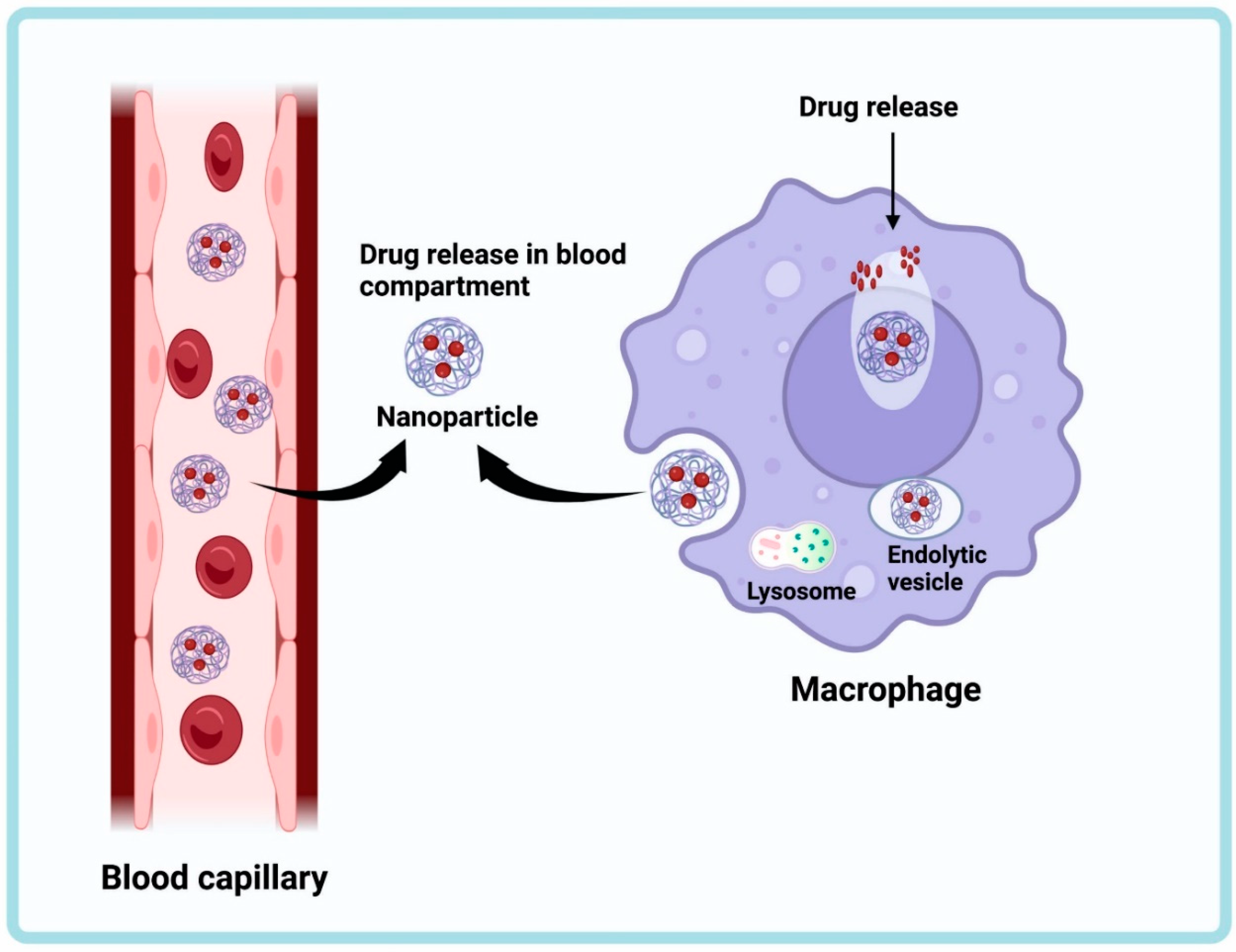 Antibiotics 12 00541 g002 Antibiotics 12 00541 g002
