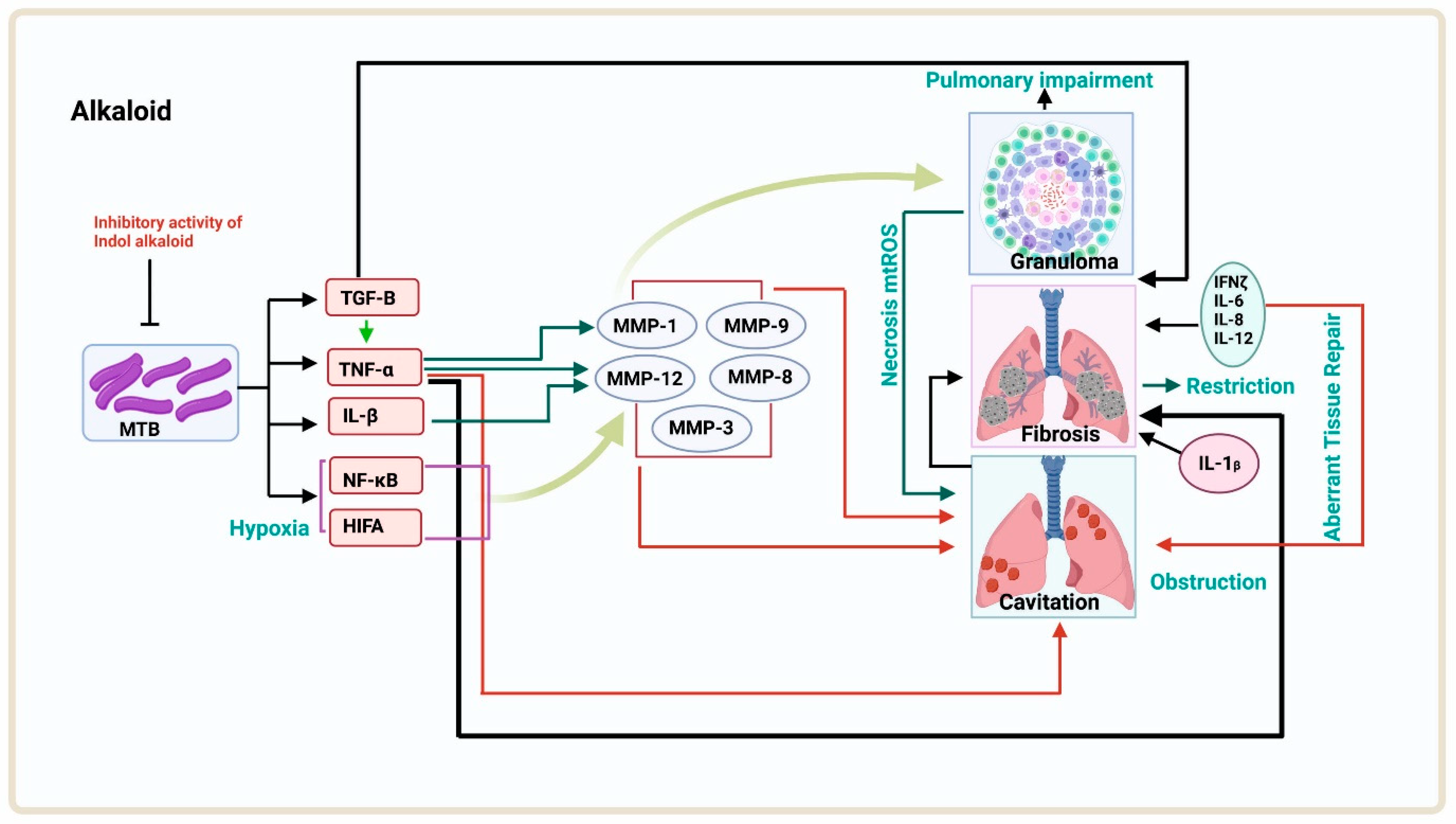 Antibiotics 12 00541 g003 Antibiotics 12 00541 g003